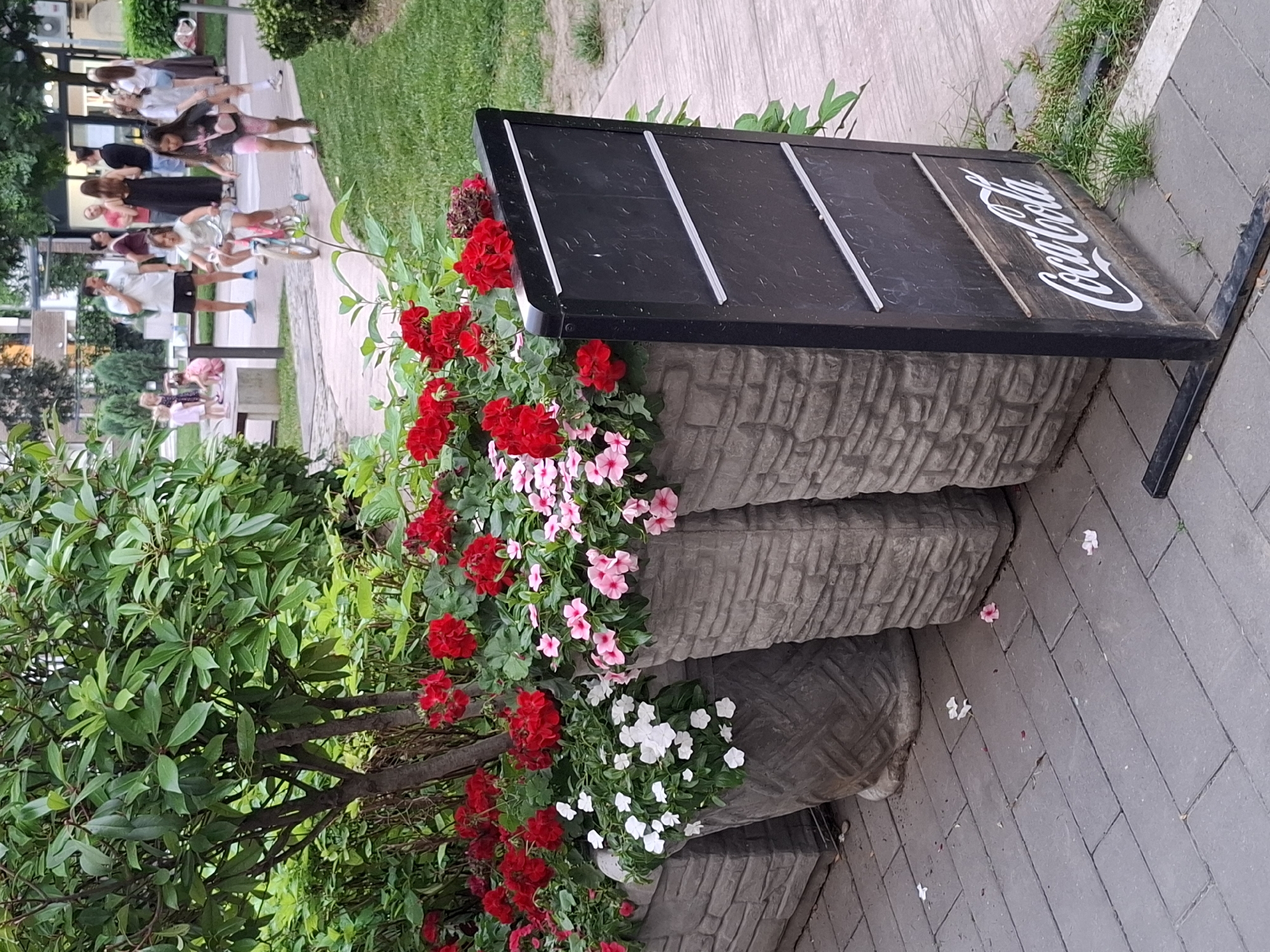 In Zemun Urban Municipality, Serbia, this image depicts an outdoor scene with a prominent display of potted plants and a Coca-Cola sign. The foreground features large, textured planters overflowing with vibrant red and pink flowers, interspersed with delicate white blooms. The planters are arranged on a paved walkway constructed from rectangular gray stones. A black A-frame sign, bearing a white "Coca-Cola" logo on a wooden panel, stands beside the planters.
In the background, a paved pathway winds through a grassy area, where several people are visible. A young girl rides a bicycle with training wheels, while another child walks alongside her. Other individuals, including adults and children, are scattered throughout the area, engaged in various activities. The environment suggests a public space, possibly a park or a pedestrian zone, with buildings and trees visible in the distance, indicating an urban setting. The overall atmosphere is one of casual outdoor activity.