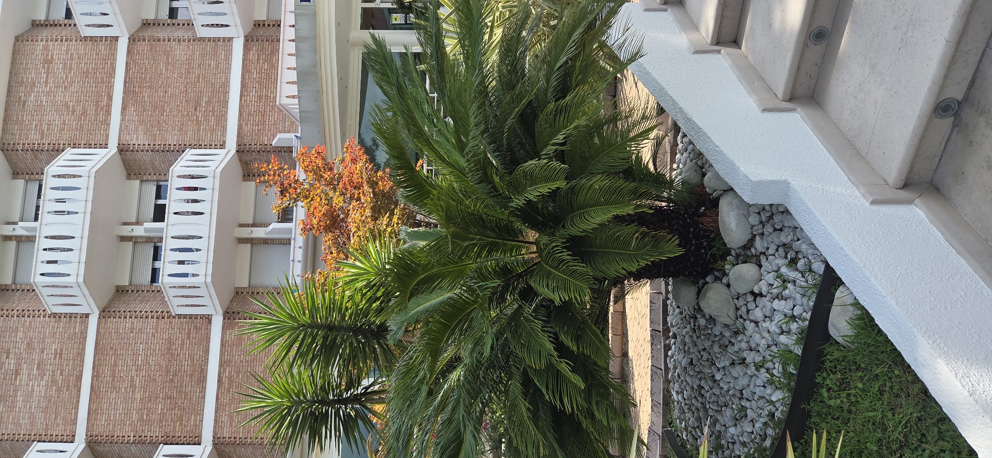 The image depicts the exterior of a building with a brick facade and white balconies. In the foreground, lush green plants, including a palm tree and a yucca tree, are visible. The plants are situated in an area covered with small white stones and larger gray rocks. To the right, a set of light-colored stone steps with embedded lights leads upwards, bordered by a white textured wall. The overall scene suggests an outdoor area associated with a residential or hotel property, likely in a warm climate given the tropical vegetation. The backdrop shows a typical European architectural style with multiple floors and balconies. The location is identified as Lignano Sabbiadoro / Lignan, Italy.