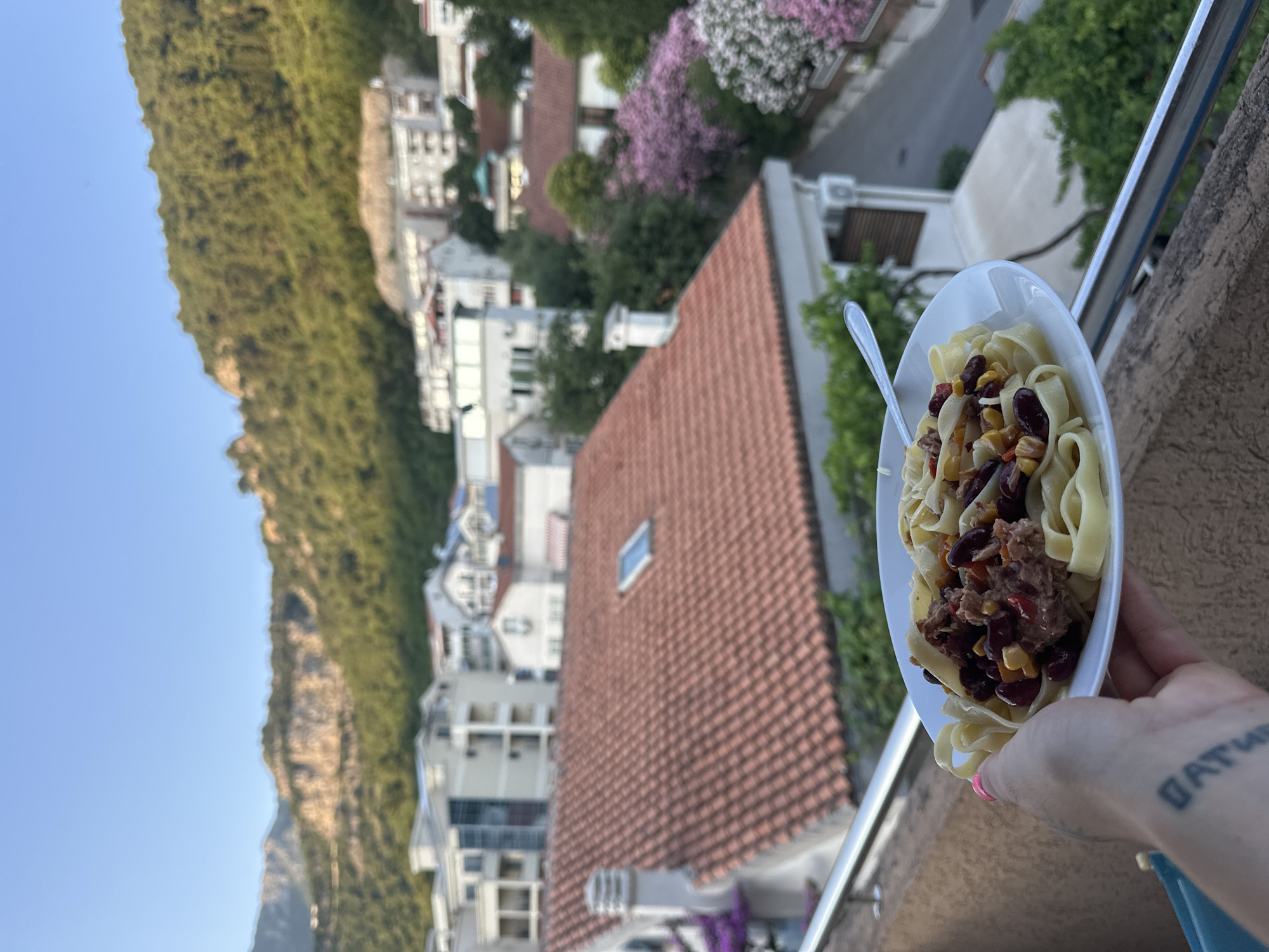 A first-person perspective shot shows a hand holding a white plate of fettuccine pasta with kidney beans, corn, and what appears to be shredded meat, possibly tuna, as a meal. The plate has a silver fork resting on it. The meal is held over a metallic railing. In the background, a cityscape unfolds, characterized by terracotta-tiled roofs and a scattering of white and light-colored buildings. Some buildings have modern architectural features like large windows and balconies. Lush green trees and vibrant pink flowering bushes dot the landscape. Further in the distance, a steep, tree-covered mountain range rises against a clear blue sky, indicating a coastal or mountainous region. The overall impression is a scenic view of a Mediterranean-style town, likely Budva, Montenegro, given the characteristic architecture and mountainous backdrop often seen in the area.