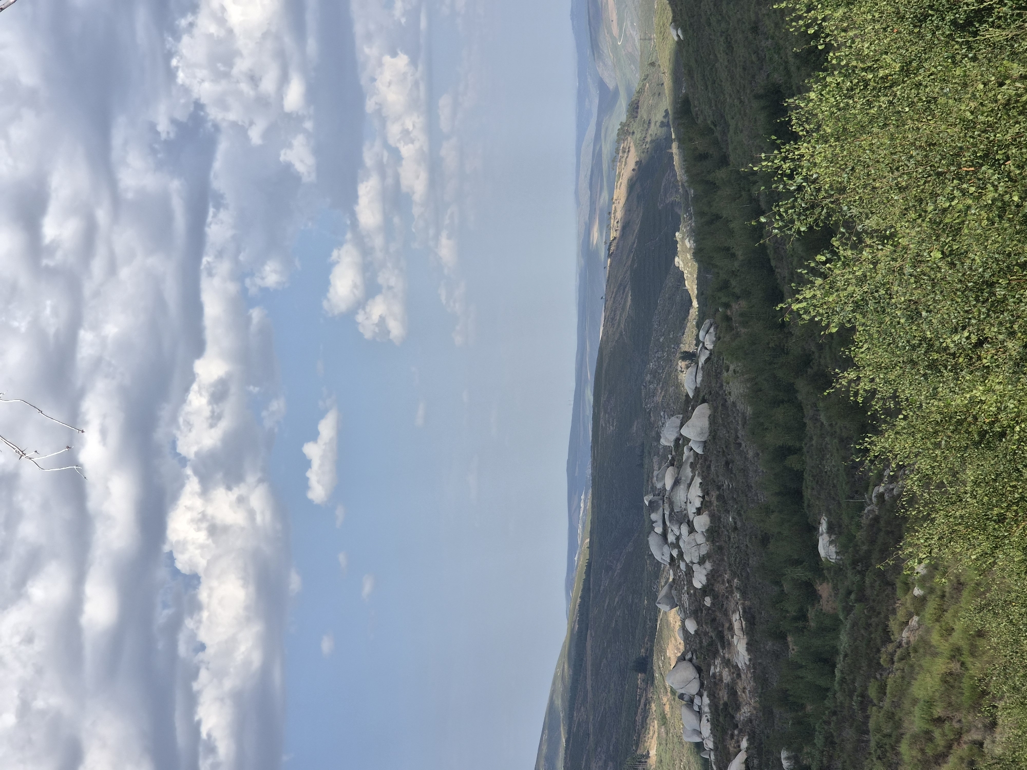 The image depicts a scenic landscape in the Serra da Estrela region near Gouveia, Portugal. The foreground is dominated by lush green foliage, suggesting a temperate climate. The middle ground features a cluster of large, light-colored boulders scattered across a hillside covered in scrub vegetation and interspersed with dark green trees. Beyond this, rolling hills recede into the distance, their slopes covered in a mix of vegetation and possibly some agricultural land, characterized by patches of sunlight and shadow. The sky is a clear blue, punctuated by scattered white clouds, some of which are quite voluminous and dramatic, indicating fair weather conditions. The overall impression is one of a natural, somewhat rugged terrain under a bright, cloudy sky. There are no people or animals visible in the image.