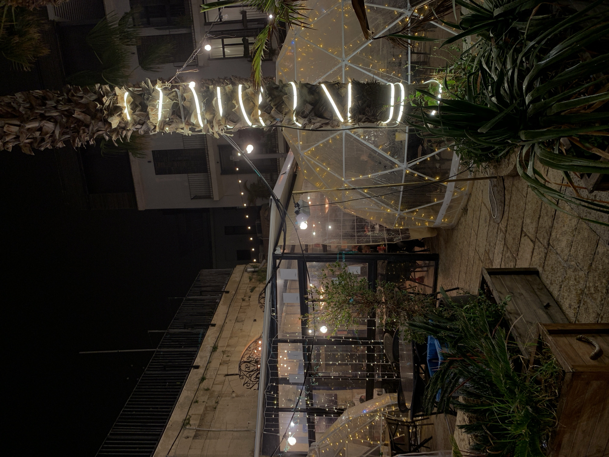 The image depicts an outdoor dining area at night, possibly in Tel Aviv, Israel. The scene is lit with string lights and spotlights, illuminating a palm tree wrapped with lights. A geodesic dome-shaped structure, also illuminated with lights, stands near a building with glass-enclosed areas and additional string lights. Tables and chairs are visible within the glass-enclosed spaces and beneath the dome, suggesting a restaurant or cafe setting. Plant life is abundant, with large plants in wooden containers and smaller plants scattered around. A weathered stone wall is visible on the left, and the ground appears to be paved. The overall atmosphere is warm and inviting.