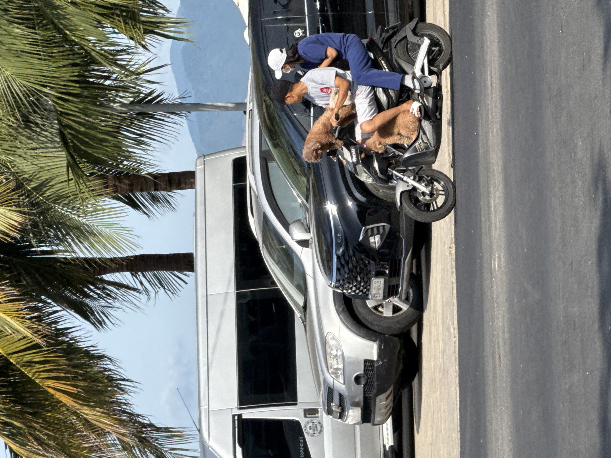 In Bac Nha Trang Ward, Vietnam, a scene unfolds featuring two people and two dogs interacting with a motorcycle parked on a paved surface. The primary subject is a motorcycle, a dark-colored model with silver accents, prominently displaying its wheels, handlebars, and exhaust. Resting on the motorcycle, one person, wearing a blue uniform and a white cap, leans forward, appearing to be interacting with the second person. This second individual, dressed in a grey t-shirt and white pants, is also leaning forward, holding one of the dogs. Both dogs, fluffy and light brown, are positioned on the motorcycle, one being held by the person in grey and the other seemingly resting near the front.
The setting suggests an outdoor, possibly urban or roadside environment, with a grey paved road and a concrete barrier visible. Palm trees with green fronds frame the top left of the image, hinting at a tropical or subtropical location. In the background, faint blue mountains under a clear sky suggest the time of day is likely daytime, possibly late morning or afternoon, given the bright lighting and shadows.
The activity appears to be a casual moment, perhaps a brief stop during a journey or a playful interaction with the pets. The people's postures and the presence of the dogs suggest a relaxed, possibly affectionate atmosphere.
A visible license plate on the motorcycle shows text and numbers, though it is partially obscured. A circular sticker with text and a graphic is also visible on the side of a silver van parked behind the motorcycle, although the text is too small to be legible. The overall impression is a snapshot of everyday life in Vietnam, with a focus on the bond between people and their pets in a scenic backdrop.