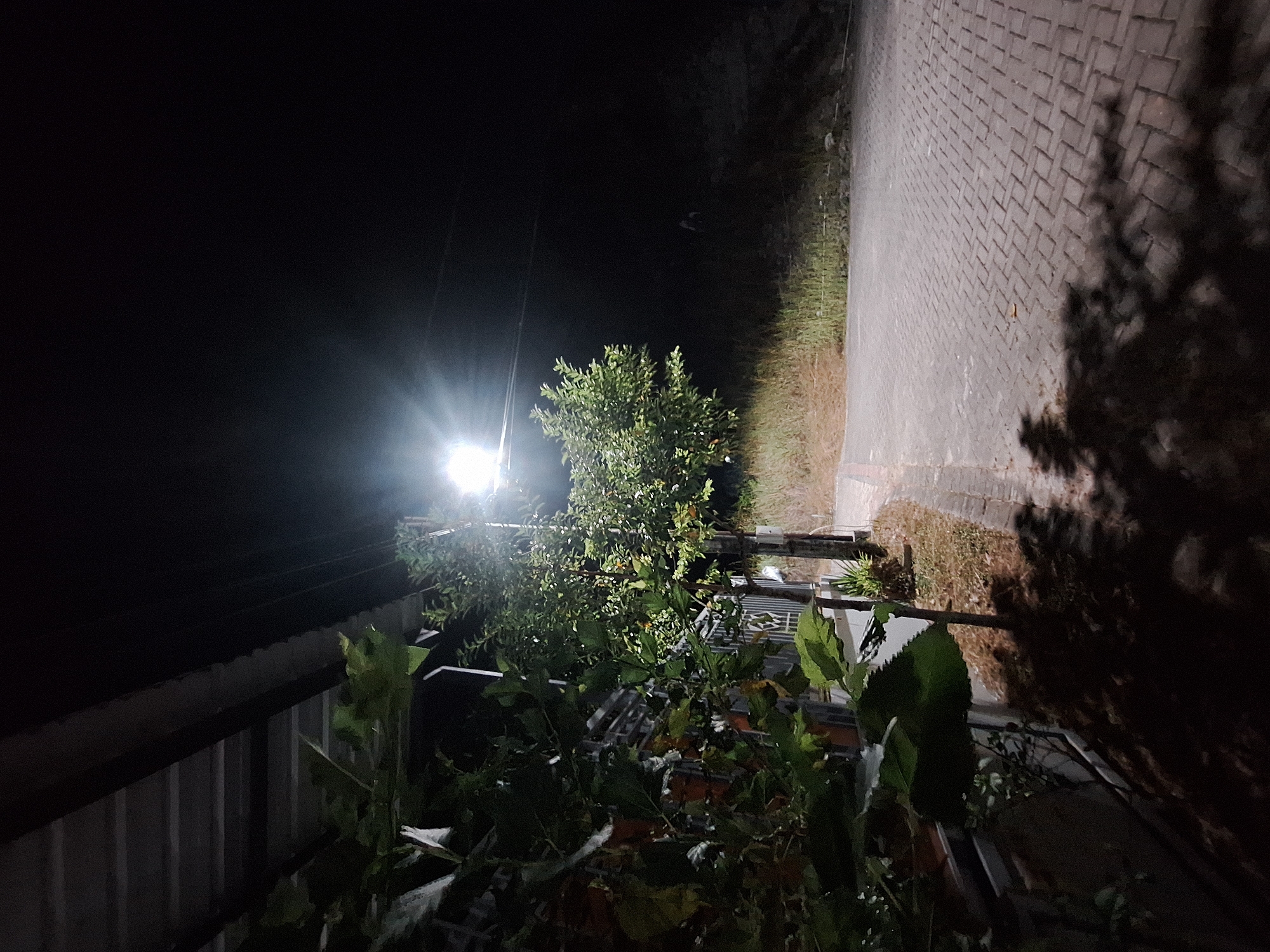 The image depicts a dimly lit outdoor scene at night, likely a residential or suburban area in Samarinda, Indonesia. A bright overhead lamp illuminates a paved walkway constructed of interlocking gray bricks, which curves to the right and recedes into the darkness. To the left of the walkway, a low structure with a corrugated metal roof is visible, with foliage extending from it. Adjacent to the walkway and extending further back is a metal fence. Several trees are present; one is a small, bushy tree with green leaves and some small orange fruits, illuminated by the lamp. Another tree with larger green leaves is closer to the foreground, partially obscuring the fence and the building. Dry grass and weeds line the area beyond the fence and walkway, leading to a darker, wooded or hilly background where only faint outlines of vegetation and possibly a distant, indistinct figure can be discerned. Shadows of the trees and foliage are cast upon the walkway and the ground.