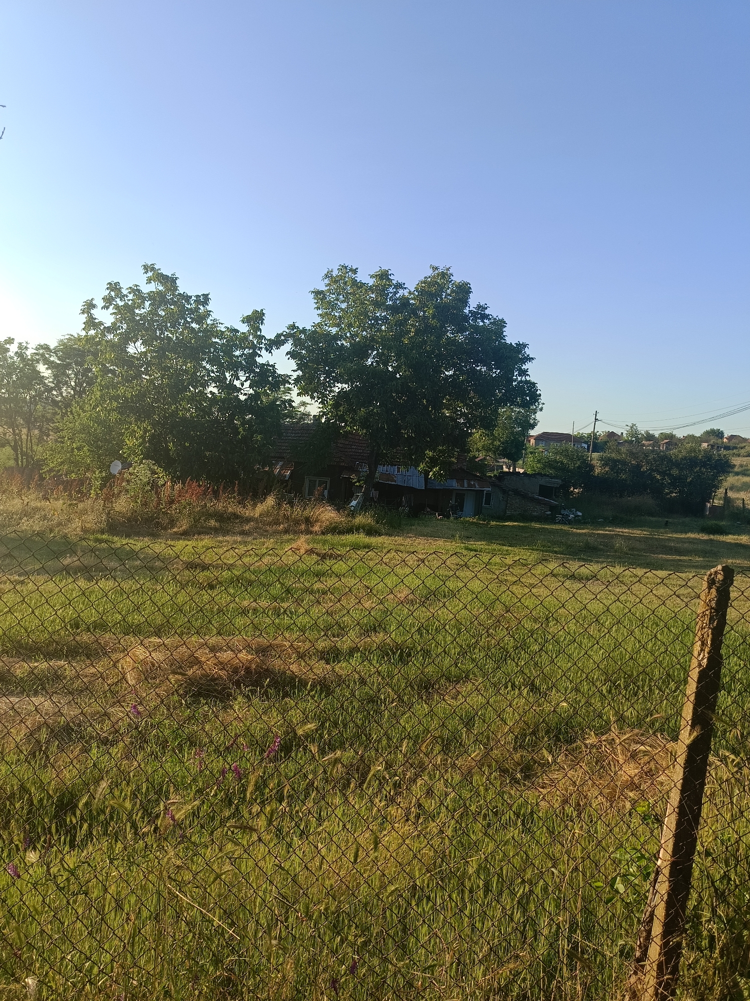 The image depicts a rural scene in Mizia, Bulgaria, on a clear day. In the foreground, a wire fence runs horizontally across the frame, with a weathered wooden post visible on the right. Beyond the fence, a grassy field stretches towards a cluster of trees and several structures. The trees are lush and green, providing shade. Behind the trees, there are a few buildings, including what appears to be a house with a tiled roof and a more dilapidated structure made of corrugated metal and wood. In the distance, rolling hills are visible, dotted with more houses and vegetation, suggesting a small village or settlement. The sky is a clear, pale blue, indicating fair weather. The overall impression is one of a quiet, sunlit, rural environment.