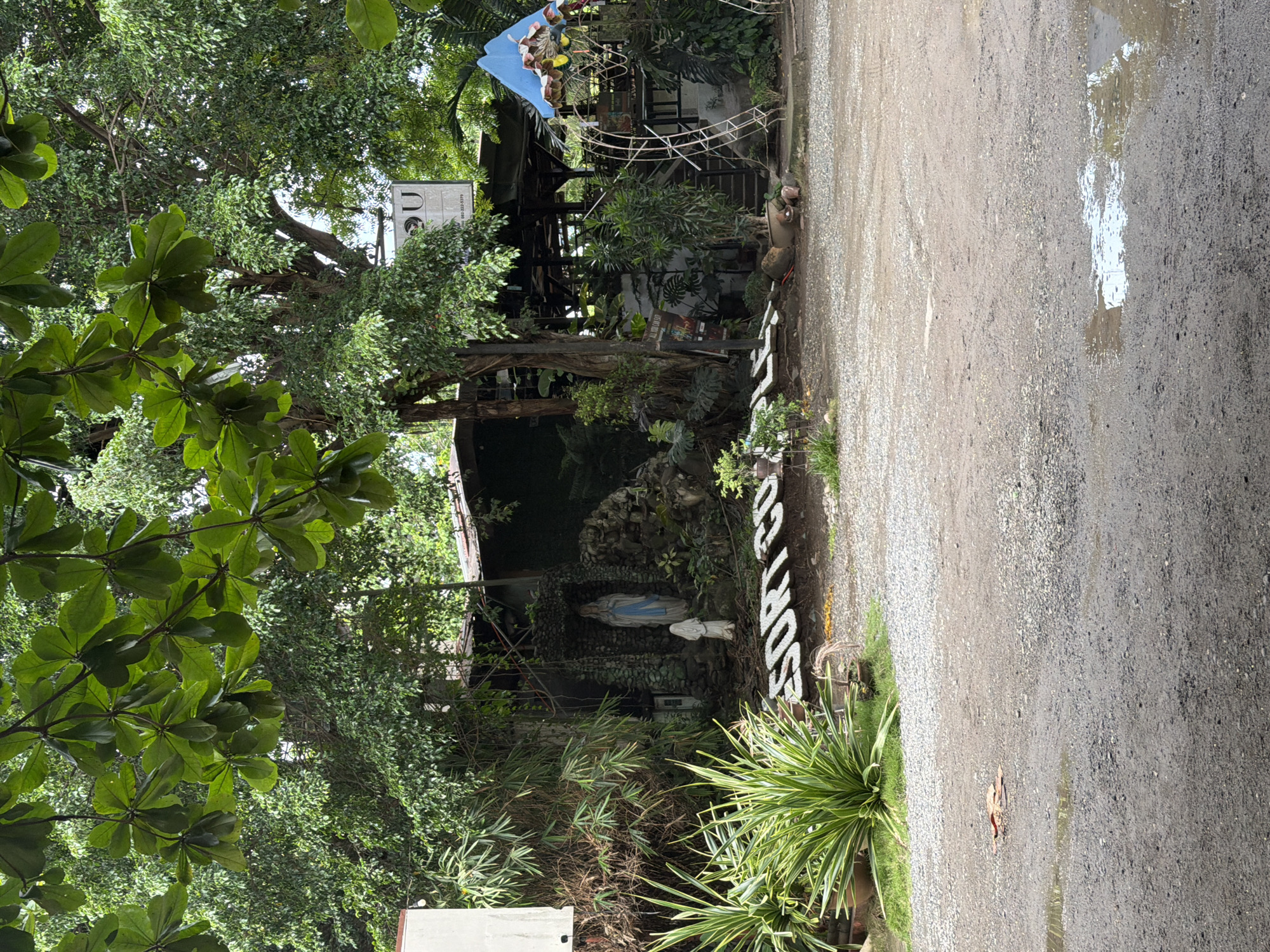 The image depicts an outdoor scene in what appears to be Davao City, Philippines, judging by the presence of signage for "SORTO CO." and other local references. The scene is taken at ground level. The foreground shows a rough, gravelly road surface with puddles of water. Adjacent to the road, on the left, is a lush area of vegetation, including trees, bushes, and various plants. Partially obscured by the greenery is a structure housing a grotto with a statue of the Virgin Mary. Further back, glimpses of a wooden structure and signage can be observed through the trees.