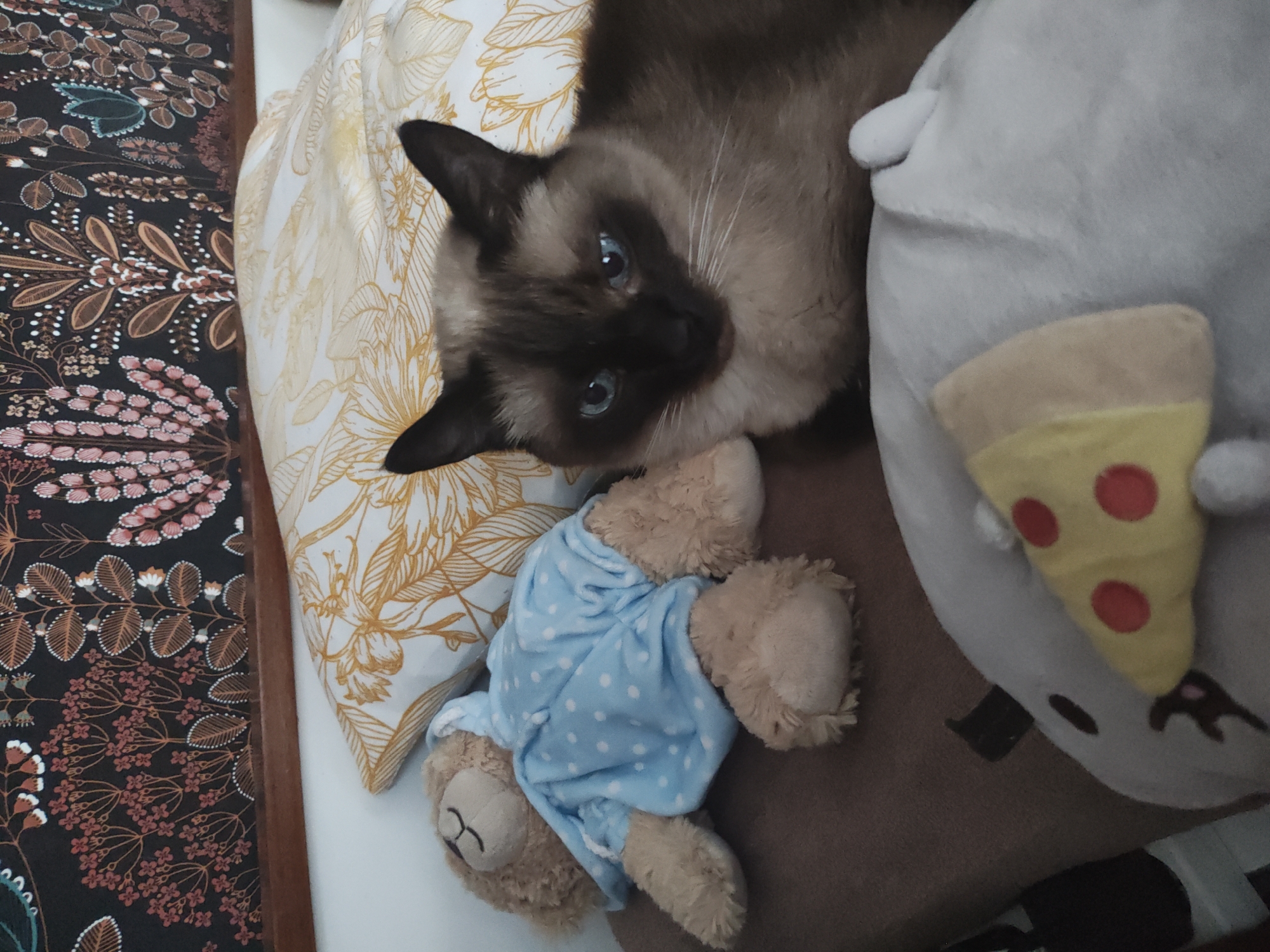 The scene depicts an indoor environment, identified as a location within Trebgast, Germany. A colorpoint cat with dark brown points on its face, ears, and paws, a lighter brown body, and prominent blue eyes, is positioned in the middle-right of the frame, facing slightly left. Its mouth is slightly open. To the left of the cat, a light brown teddy bear, dressed in a light blue pajama top with white polka dots, lies supine on a brown surface. In the foreground, a light gray, rounded plush object, likely a stuffed animal, is partially visible, featuring an attached yellow pizza slice with red circular toppings. The cat and teddy bear are situated on a pillow with a white background and a yellow floral or botanical pattern. This pillow rests on a plain brown blanket or sheet. Behind the pillow, a wooden headboard is present, above which a dark wallpaper with an intricate botanical pattern in shades of dark red, brown, orange, pink, and white is visible.