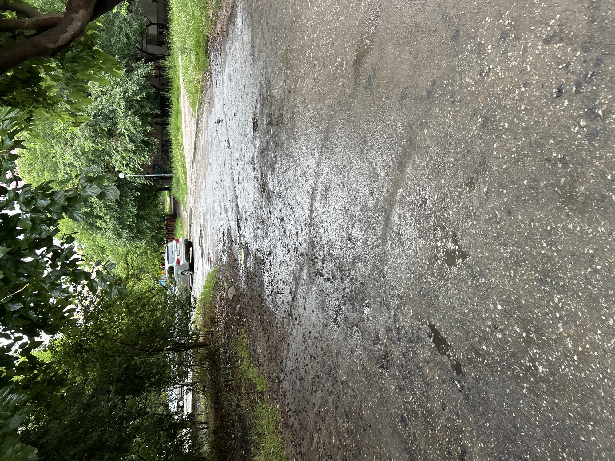 A street scene in the city of Plovdiv, Bulgaria, on a cloudy or rainy day. The foreground is a wet asphalt road with scattered debris and puddles. To the left, there is a grassy embankment with some scattered small stones and dirt. In the midground, a silver hatchback car is parked on the right side of the road. Beyond the car, a line of trees and some buildings can be seen. A single small bird is visible on the wet road in the mid-right portion of the image. The overall impression is a slightly neglected urban environment.