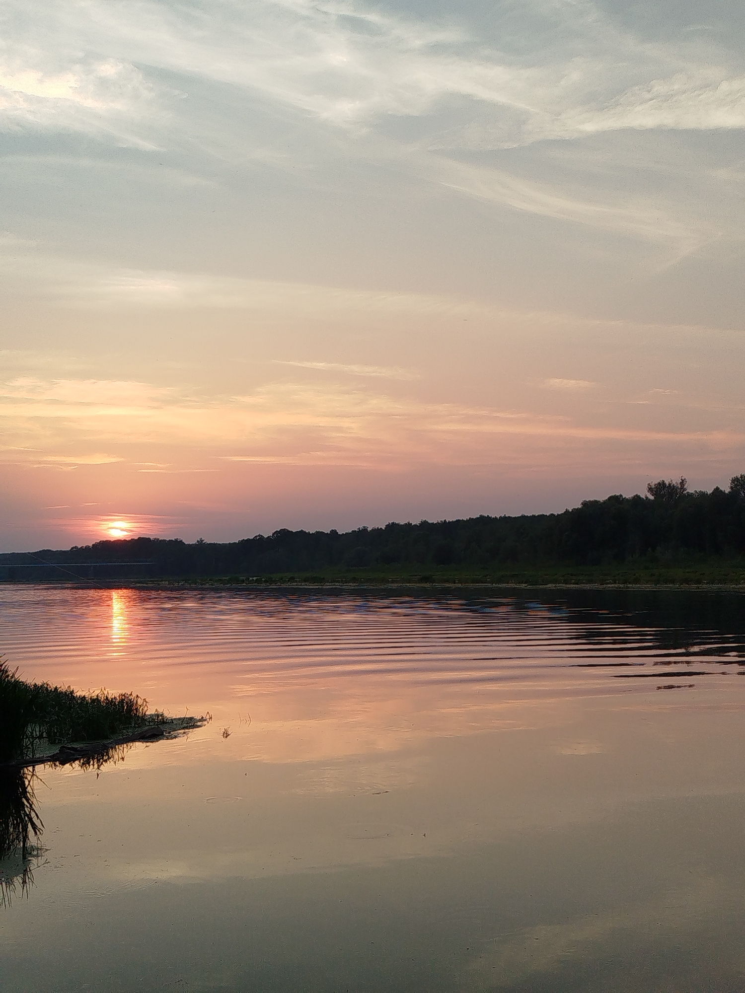A tranquil sunset over a body of water is depicted. The sky transitions from pale blue at the top to soft pink and orange hues near the horizon, with wispy clouds scattered across it. A dark, treelined shore forms the background. The water's surface is rippled, reflecting the colors of the sky and creating a shimmering effect. There is a patch of green vegetation on the left bank. No people or animals are visible. The scene suggests a peaceful natural environment, likely a lake or river. The image does not provide any information about the city of Topolina, Poland.