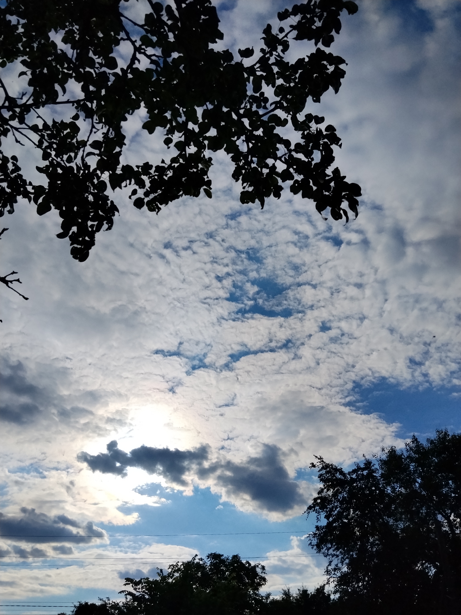 The image depicts a cloudy sky with patches of blue visible. Silhouetted tree branches with leaves are visible in the foreground, framing the sky. The sun is partially obscured by clouds, creating a bright glow. In the lower portion of the image, more trees are silhouetted against the sky, and horizontal lines, possibly power lines, are visible. The scene appears to be an outdoor, natural environment, possibly a park or residential area in Ustyvytsia, Ukraine. No people or specific actions are discernible.