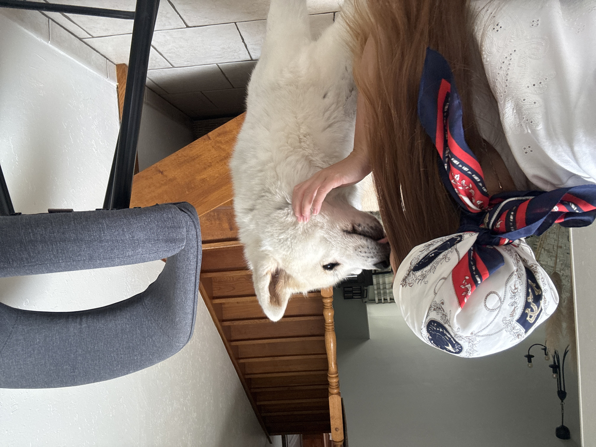 In a domestic interior, possibly a home in Wattrelos, France, a person wearing a white top and a patterned headscarf is interacting with a large, light-colored dog. The dog, with its tongue slightly extended, is licking the person's cheek. The person's hand is gently touching the dog's face. Behind them, a wooden staircase with a bannister leads upwards, and a grey upholstered chair is positioned to the right. The floor is tiled. The scene appears to be indoors, with soft lighting.
