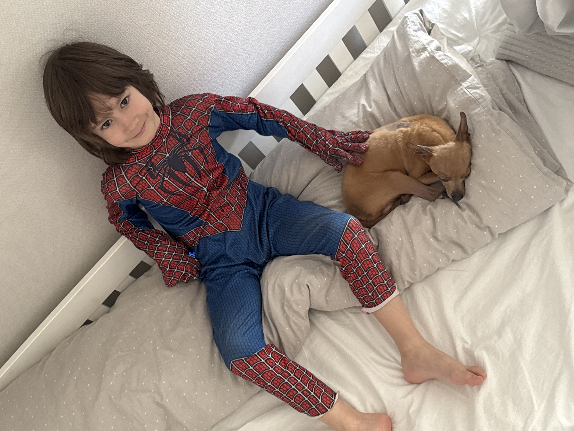 A child in a Spiderman costume is lying on a bed next to a sleeping brown Chihuahua. The bed is next to a white crib. The location is in a room with a white wall. It is unknown if the location is in the city of Chaikovsky, Russia.