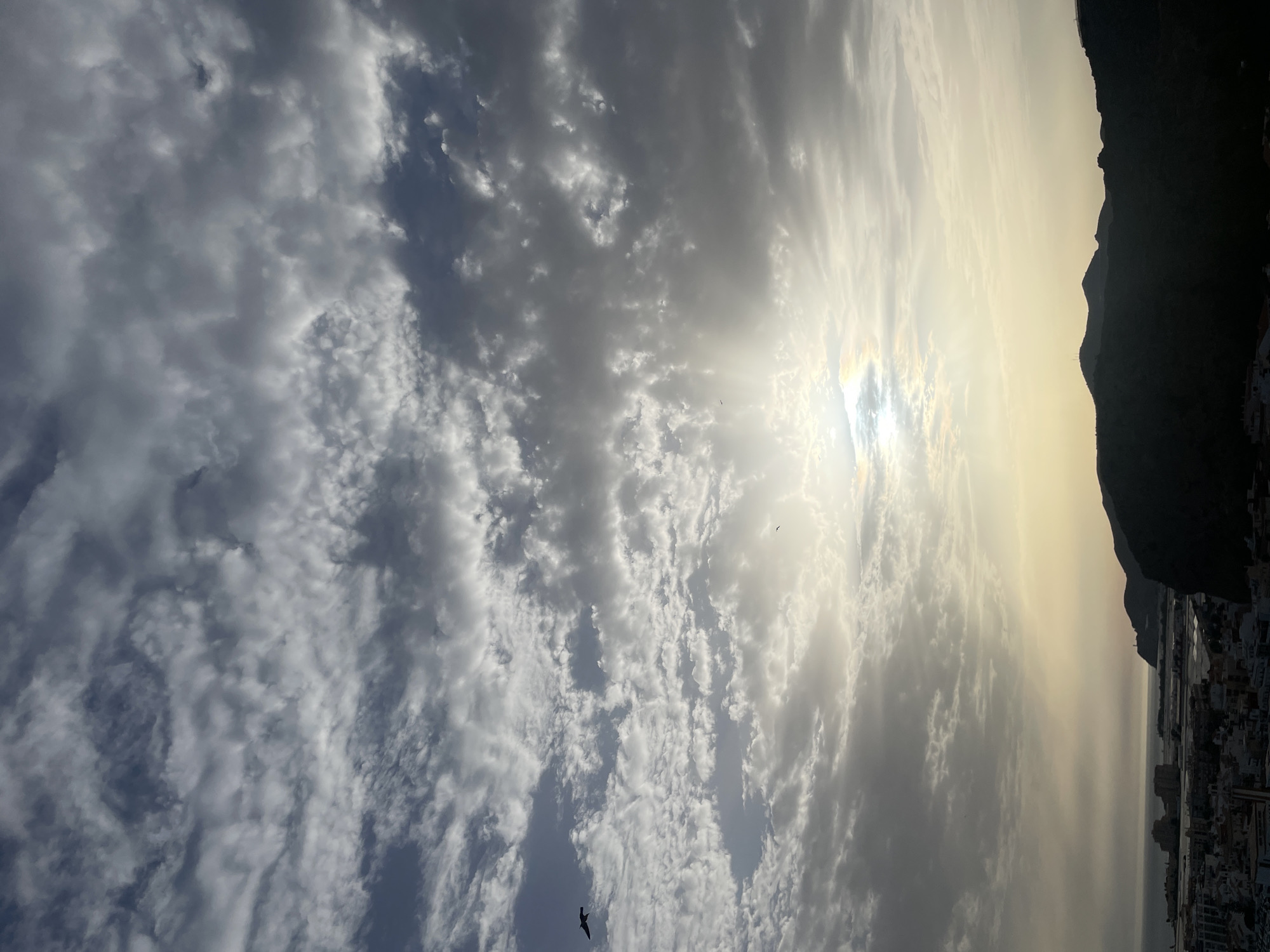 This image captures a view of the sky and the cityscape of Motril, Spain, under a dramatic cloudy sky during what appears to be either sunrise or sunset. The sun is partially obscured by clouds, casting rays of light through breaks in the sky, creating a luminous effect. Numerous clouds, ranging from wispy cirrus to thicker stratus formations, dominate the upper portion of the frame. Two birds are visible in flight.
Below the sky, silhouetted against the lighter horizon, are the dark outlines of mountains. In the middle ground, a coastal town or city is visible, with buildings and infrastructure spread out towards the sea. Structures characteristic of a port or industrial area can be discerned along the coastline. The overall impression is one of a dynamic natural environment interacting with a developed urban landscape.