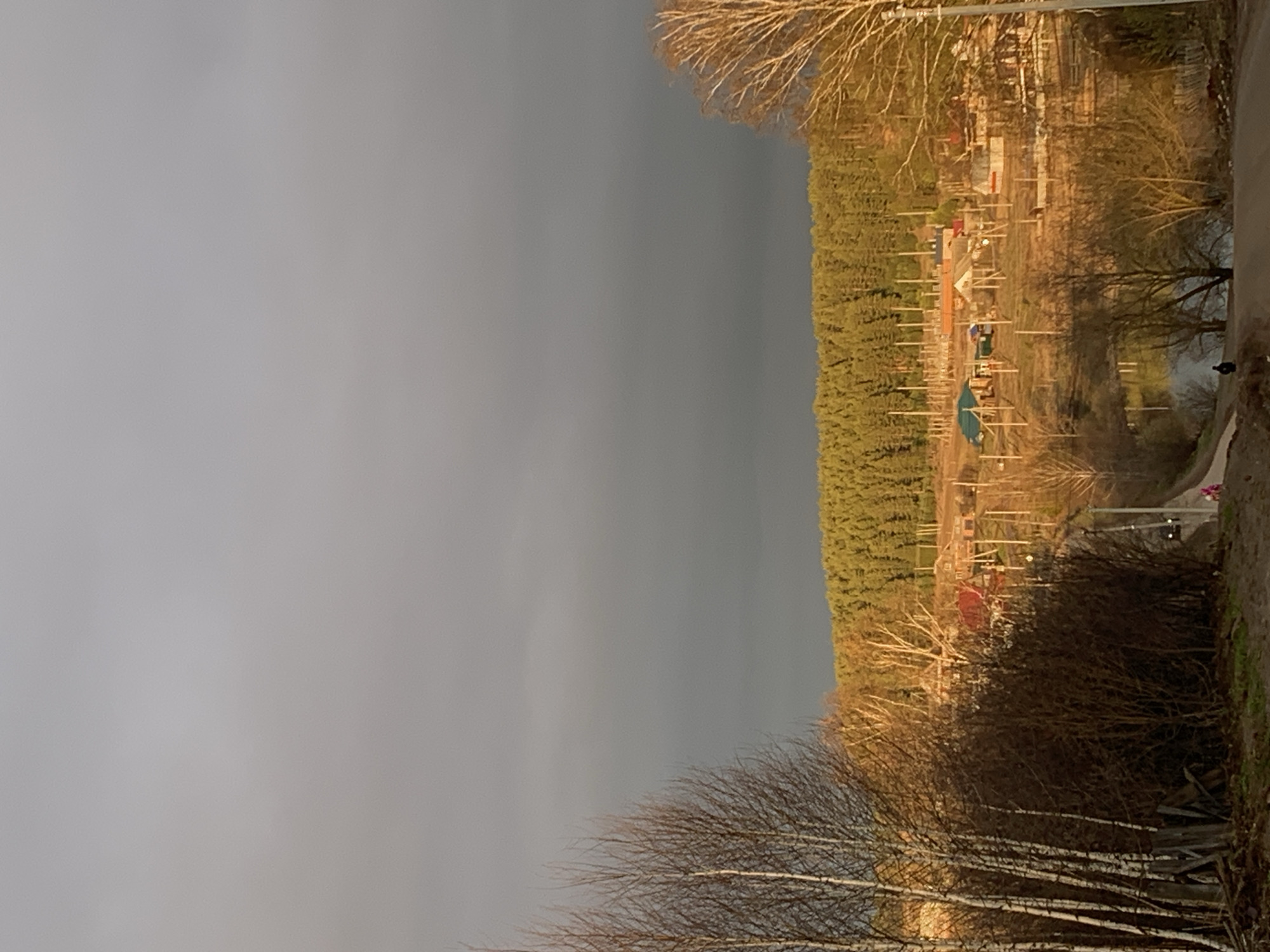 The image displays a rural or semi-rural landscape, likely a village or settlement, under a vast and moody sky. The scene is characterized by a prominent grey, overcast sky dominating the left side of the frame. Below the sky, a dense band of green coniferous forest forms a horizontal line across the middle, behind which various small buildings with red and green roofs are scattered, suggesting residences or outbuildings.
In the foreground and mid-ground on the right, numerous bare deciduous trees and dark, dense bushes are visible, many exhibiting the white bark characteristic of birch trees. A dirt or unpaved road runs along the far right edge of the image. A small, dark bird is perched on the road in the upper right quadrant. A small, colorful object, possibly a toy or piece of litter, lies on the ground near the road in the lower right. Many vertical wooden poles or stakes are positioned in the field among the structures, potentially for cultivation or fencing.
No significant human activity is depicted; the scene conveys a tranquil, still moment in nature. The lighting suggests either late afternoon or early morning, with warm, golden sunlight illuminating the bare tree branches, some buildings, and parts of the forest, creating a stark contrast with the muted grey sky. The lack of foliage on most trees indicates late autumn, winter, or early spring. There is no visible text. The landscape, including the types of trees and general settlement appearance, is consistent with the provided location context of Фоки, Russia.