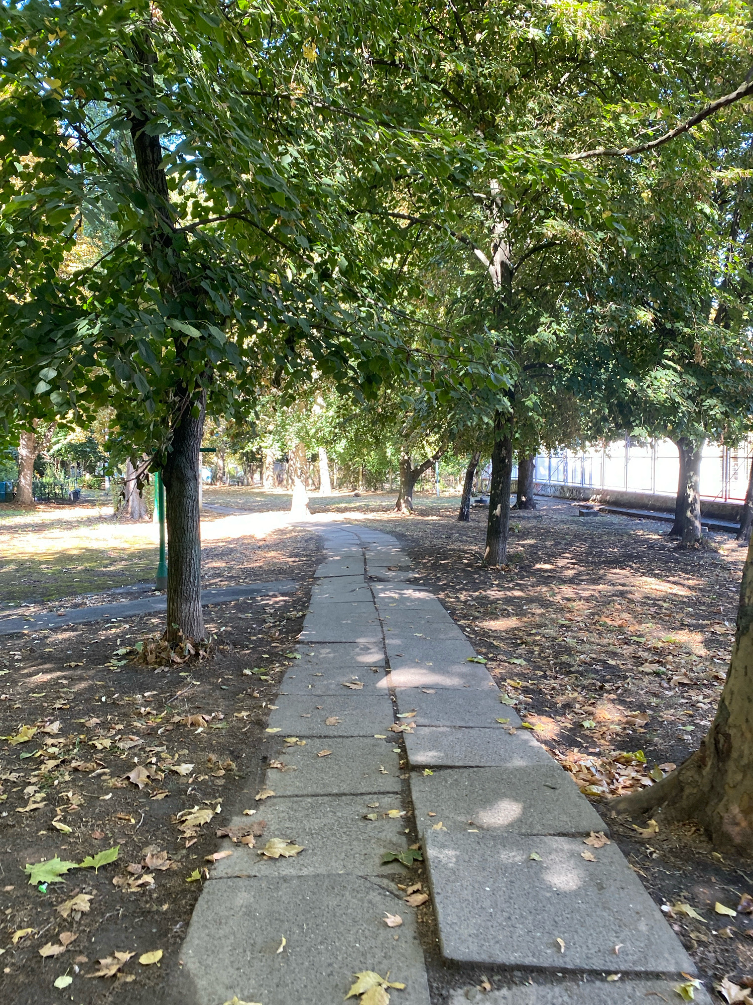 A straight concrete pathway, made of rectangular slabs, leads into a park-like area. The path is bordered by a grassy area with scattered fallen leaves and tree trunks on the left, and on the right, a patch of ground covered with fallen leaves and tree trunks. Several trees with dense green foliage are present, casting dappled shadows on the pathway and the ground. In the background, a white fence with vertical posts is visible, suggesting an enclosed area such as a sports court or playground. The scene appears to be located in the city of Chornomorsk, Ukraine, on a sunny day. There are no people visible in the image.