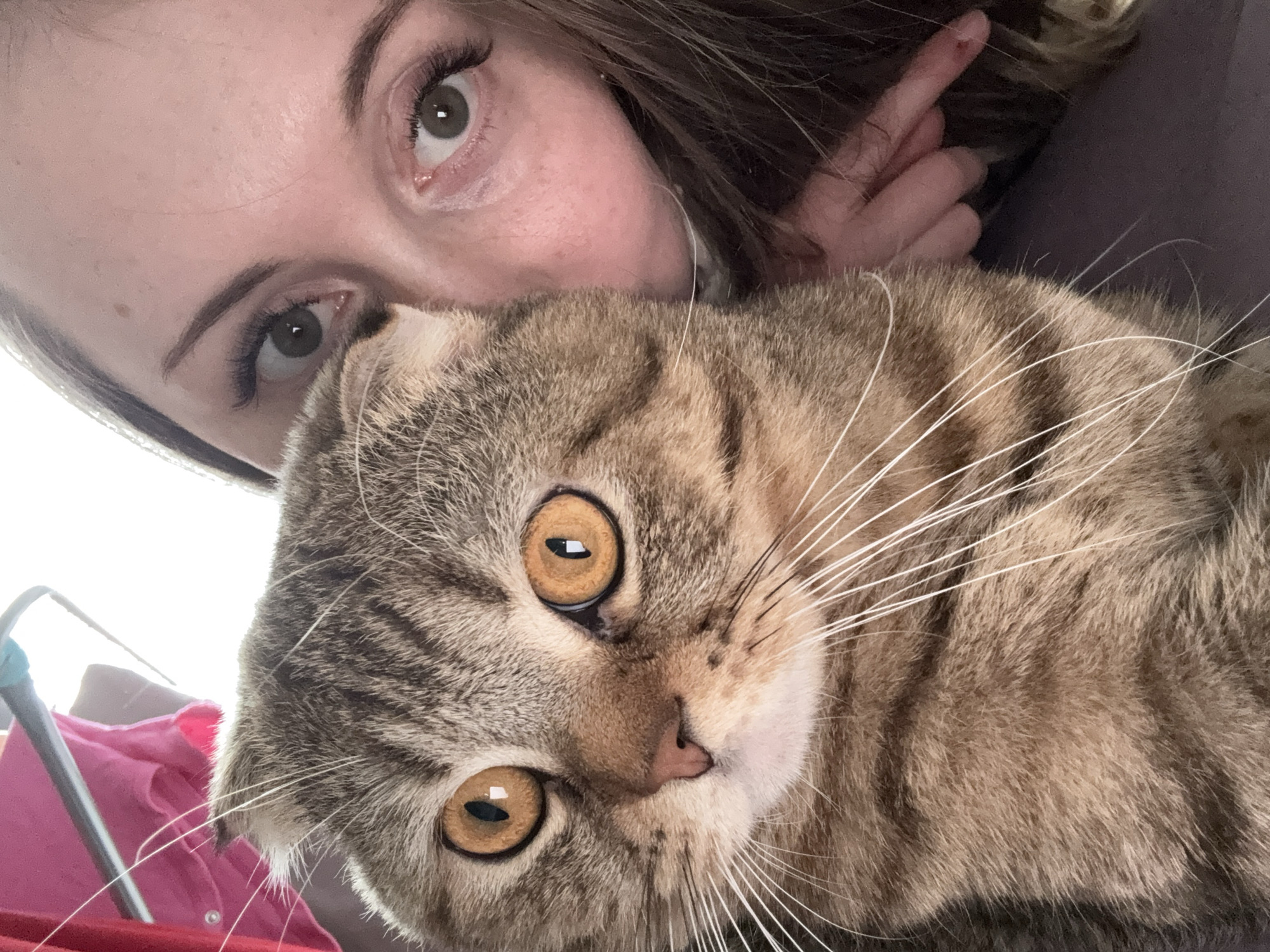 A close-up, angled image captures a person and a cat in an intimate, presumably indoor, setting. The perspective suggests a selfie.
**Subjects:**
The upper left portion of the frame features the face of a person, likely a woman, with her forehead, prominent green or hazel eyes adorned with visible eyelashes, and dark eyebrows. Her brown hair is visible around her head. In the upper right background, a hand with several fingers, one displaying a small red mark or scab, is present.
Dominating the lower and central part of the image is the face and upper body of a tabby cat. The cat has striking, large, round, amber-orange eyes with dark, vertical pupils. Its fur displays a distinct pattern of brown, tan, and grey stripes. Long, white whiskers extend from its muzzle, and a small, pink nose is visible.
**Activity or event taking place:**
The person and cat are positioned closely together, looking directly towards the camera, implying a shared, affectionate moment, possibly a cuddle or a photo opportunity.
**Notable details:**
The lighting is bright, particularly from the left side, highlighting the subjects' features and the cat's whiskers. The background is largely blurred; elements visible include a bright white area on the far left, a pink object (possibly clothing or fabric), a metallic rod, and a dark, solid-colored surface in the upper right. The overall impression is one of warmth and companionship.
**Visible text:**
There is no visible text in the image.
**Location context:** Unknown.