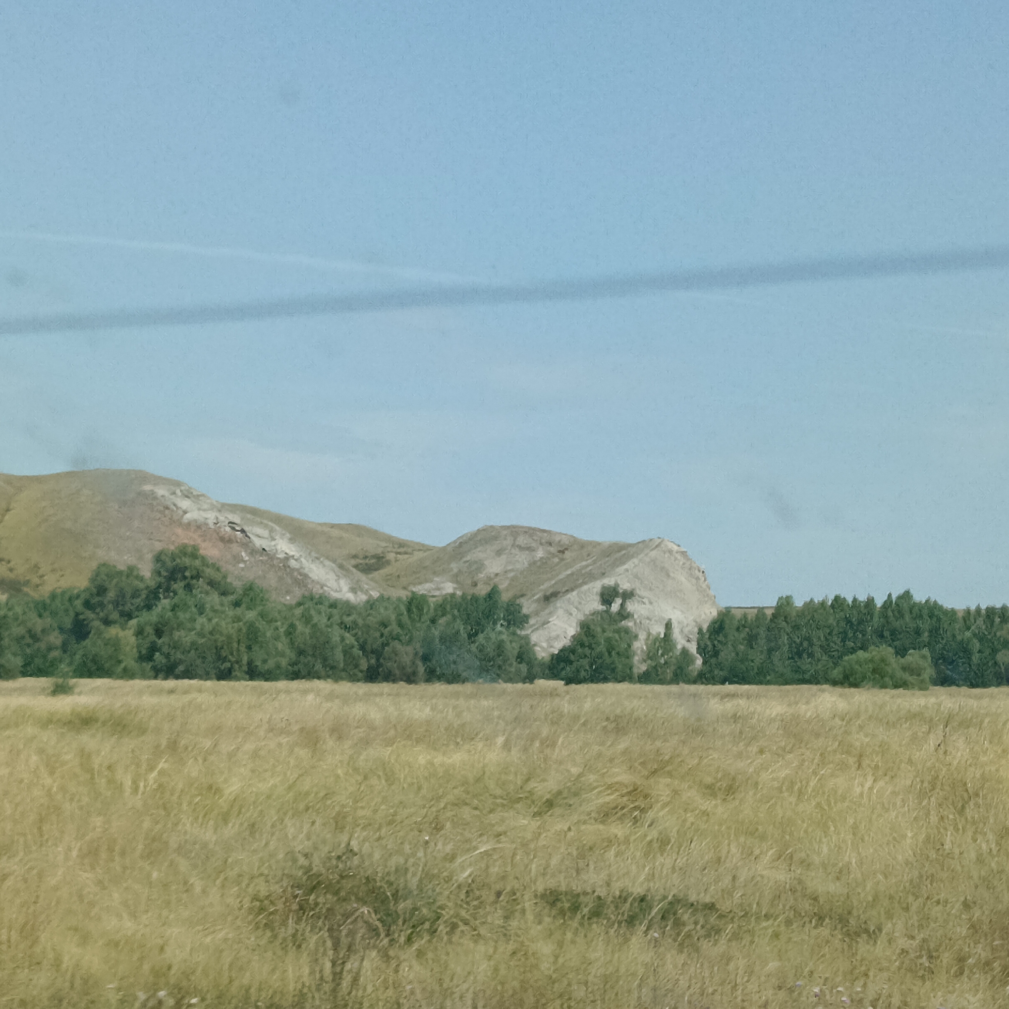 An outdoor shot taken in Raznomoika, Russia, depicts a natural landscape under a clear sky. In the foreground, a field of dry, light-brown grass extends across the frame. Behind the field, a line of dense, green trees forms a natural barrier. Beyond the trees, rolling hills rise, with the slopes covered in dry grass and patches of exposed, light-colored earth. A faint, horizontal line is visible in the sky, likely a contrail. The image conveys a sense of open space and a remote, undeveloped environment.