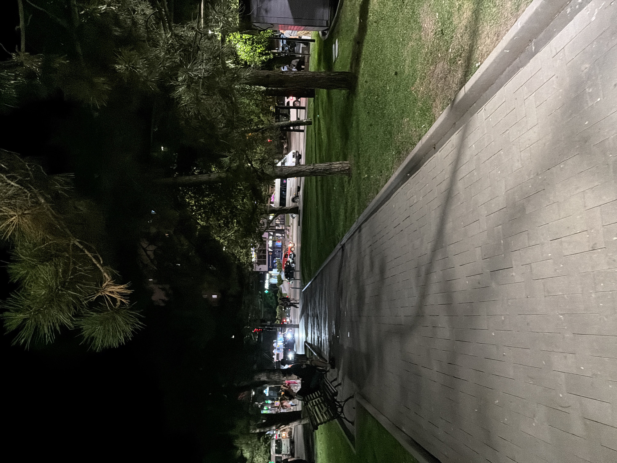 The image shows a nighttime scene on a paved pedestrian walkway in Chișinău, Moldova. The walkway is bordered by a strip of grass on the right and a line of trees on the left. Beyond the trees, a street is visible with traffic and buildings. Several people are present, including a couple sitting on a bench on the left side of the walkway and other individuals walking or standing on the street. The lighting suggests it is after dark, with streetlights and building lights illuminating the area. Some vehicles, including a white van and cars, are visible on the street. The overall impression is of a public urban space at night.