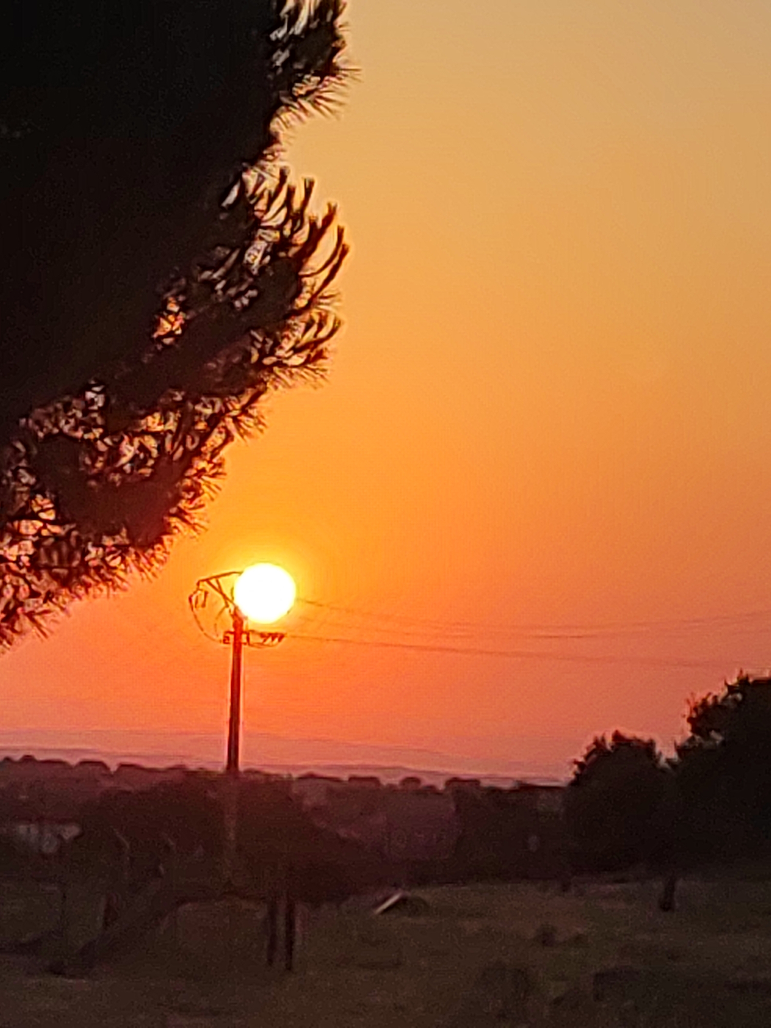 The image depicts a sunset over the town of Sobradillo, Spain. In the foreground, a silhouette of a tree branch is visible on the left side. A utility pole stands in the middle ground, with the bright, illuminated disk of the sun appearing to be attached to it. Beyond the pole, the horizon shows a faint line of distant hills and a low-lying town with dark, silhouetted buildings. The sky is a gradient of warm orange and yellow hues, characteristic of a sunset. The lower portion of the image shows a dimly lit, indistinct landscape, likely fields and scattered vegetation, with more silhouetted trees and structures.