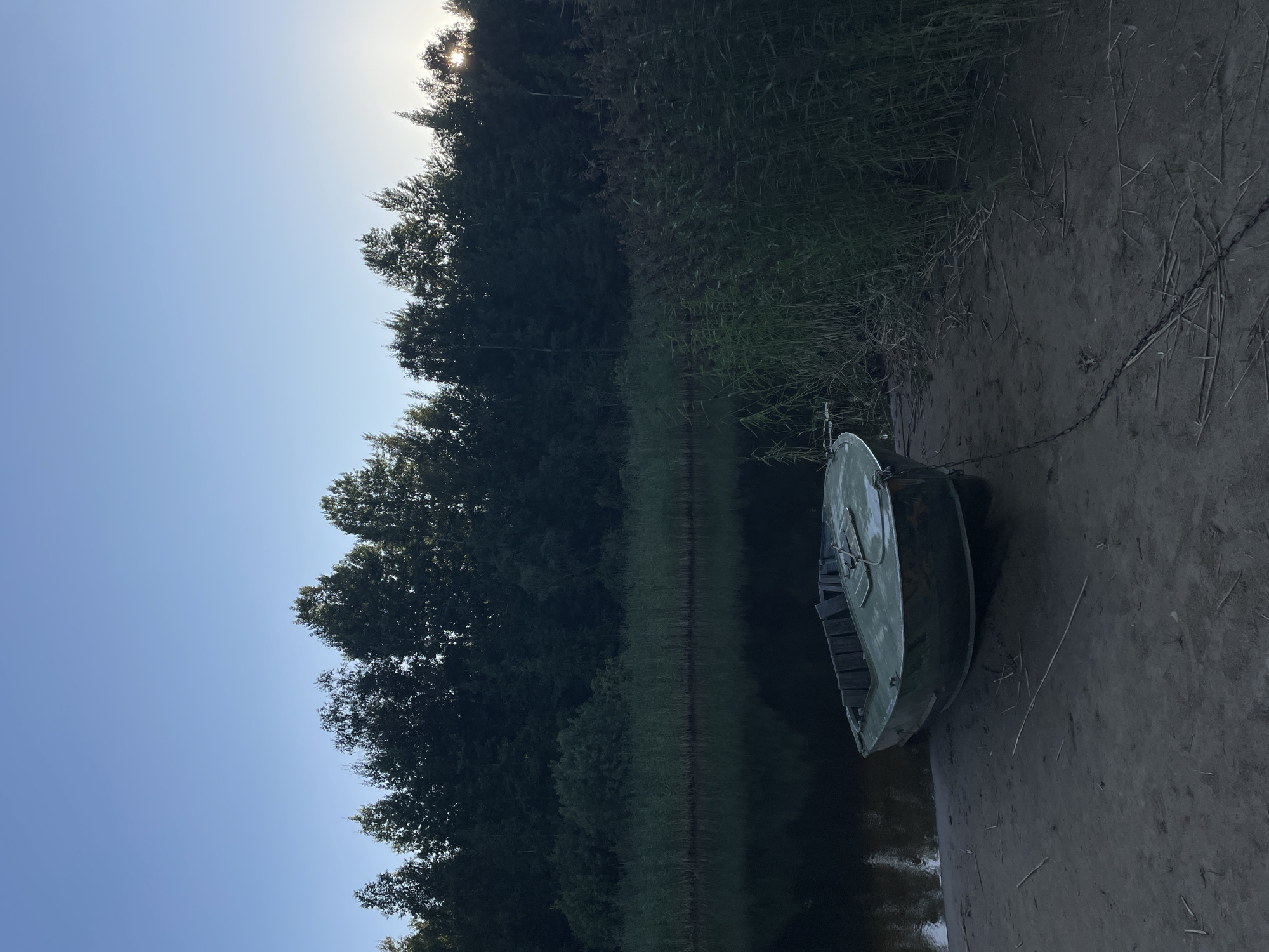 A lone, green, motorless boat rests on a sandy shore next to a calm body of water. The boat is partially submerged in the water and is secured by a metal chain. Tall green reeds line the water's edge, forming a dense wall of vegetation. Behind the reeds, a dark forest of trees stretches across the horizon under a clear blue sky. The sun is low in the sky, casting a gentle light on the scene, and appears to be setting behind the trees. The overall atmosphere is serene and peaceful, suggesting a remote, natural setting. The location is identified as Kobona, Russia.