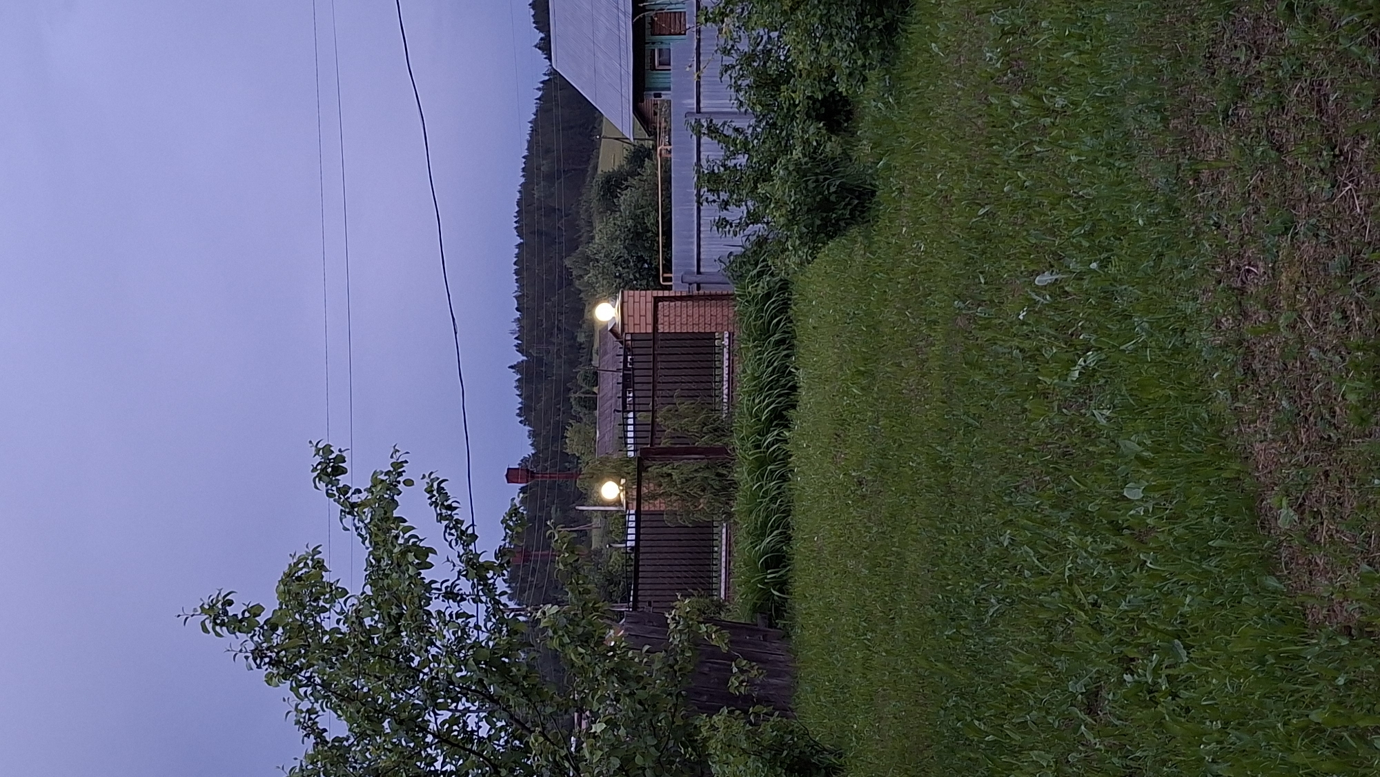 This image captures a tranquil outdoor scene at twilight, likely in Большой Букор, Russia. The perspective is from a grassy area, looking towards a property boundary and a forested landscape.
In the foreground, a lush green lawn covers much of the right side, showing varied textures of grass and some sparse patches of earth. On the left, a dark-leaved tree or bush with visible branches and foliage partially frames the scene.
The midground features a dark metal fence, which serves as a property divider, punctuated by two bright, spherical outdoor lights. These lights are mounted on brick pillars and illuminate their immediate surroundings, suggesting it is evening or early morning. Behind the fence, parts of rural buildings are visible; one structure has a distinctive corrugated metal roof and what appears to be green siding. A thin yellow pipe runs horizontally along a section of a fence near one of the buildings. On the far left, a red structure, possibly a water tank or a tall vent, stands partially obscured by trees.
The background is dominated by a large, densely forested hill or mountain range, stretching across the horizon under a soft, dusky sky. The sky transitions from a pale purple-blue directly above to a darker shade towards the horizon. Several thin power lines are visible against the sky in the upper portion of the frame. No specific activities are taking place, and the scene appears still and peaceful. There is no visible text in the image.