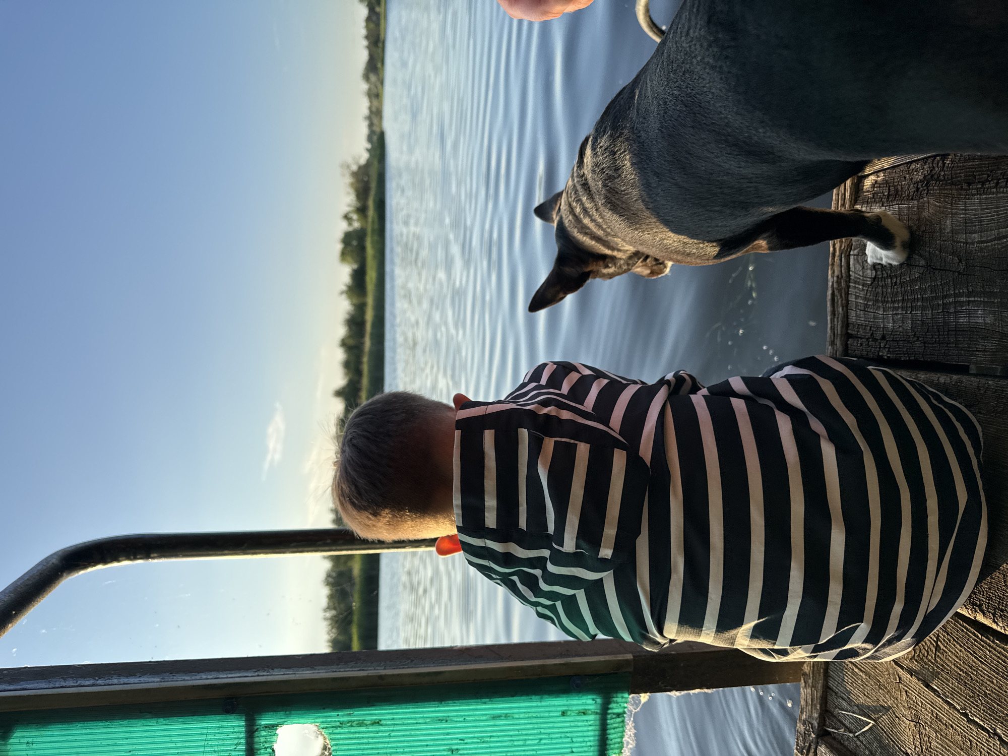 A boy wearing a striped hooded shirt and a black dog stand on a wooden pier overlooking a body of water under a clear blue sky. The scene takes place in Lozuvatka, Ukraine, where the sun casts long shadows on the pier, indicating it is late afternoon or early evening. The water is calm, with gentle ripples on its surface, and a line of trees is visible in the distance, marking the far bank of the river. A green, ribbed structure, possibly a fence or partition, is to the left of the frame, casting a shadow on the pier. The boy and the dog are both facing away from the camera, looking out at the water. The overall impression is one of peaceful contemplation and shared observation between the child and his canine companion.