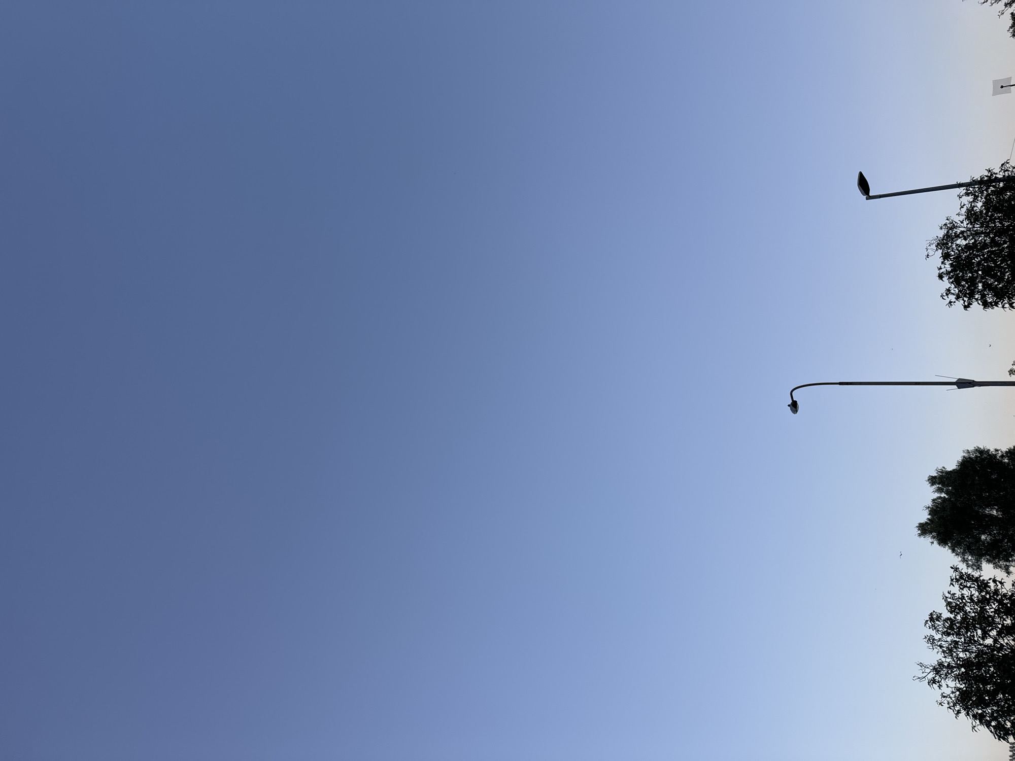 The image depicts a clear blue sky with a gradient from a deeper blue at the top to a lighter hue near the horizon. Silhouetted against the sky are the tops of several trees, with their branches visible. Two modern streetlights are also visible in silhouette; one taller, curved lamp post stands on the left side of the image, and a shorter, straighter lamp post is positioned to the right. The scene appears to be an outdoor environment, possibly a park or a street, in Waterford, Ireland, at dusk or dawn. There are no people or animals clearly visible, though a few small dark specks in the sky suggest the presence of distant birds. The overall impression is one of a peaceful, urban twilight.