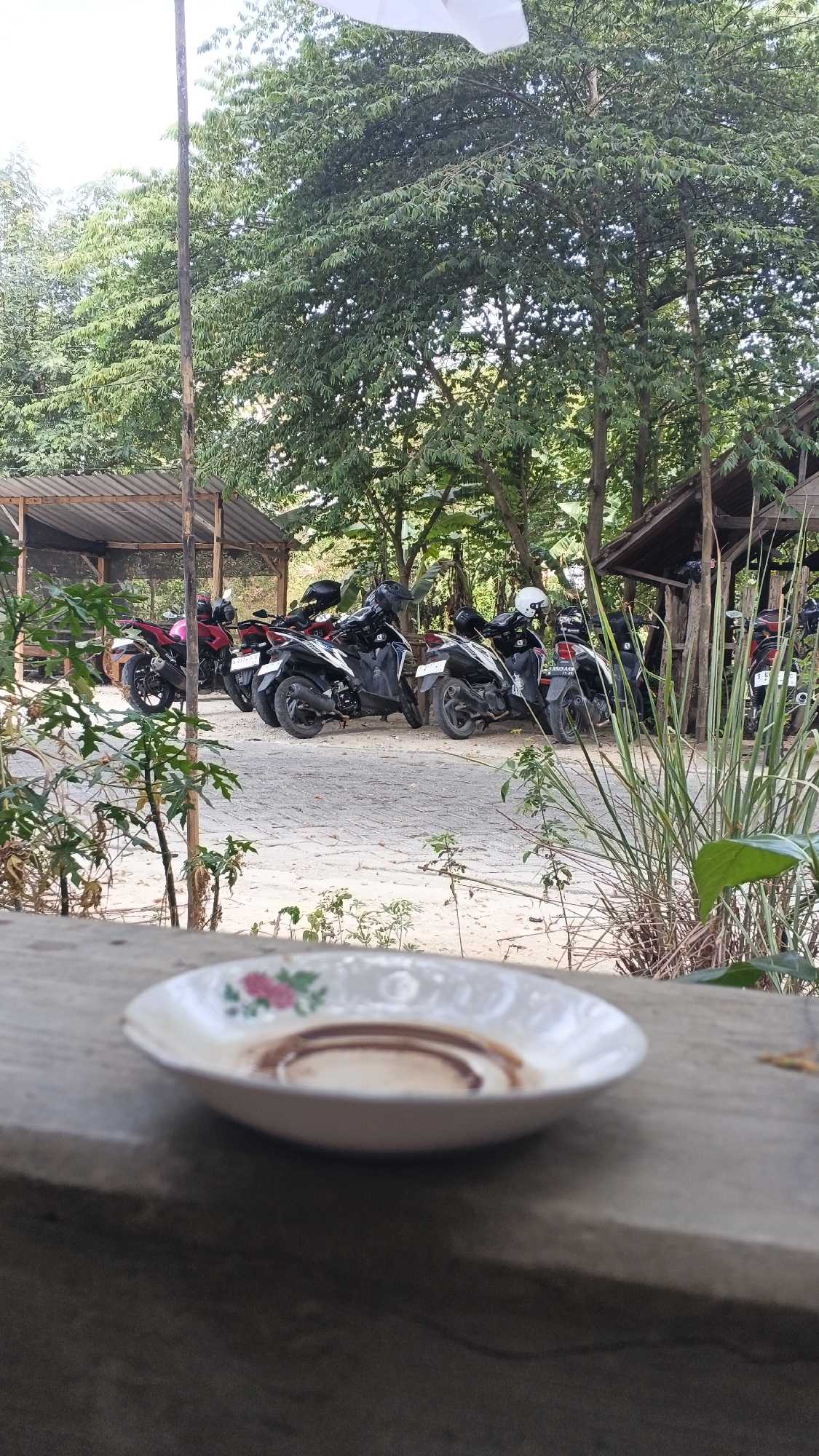 The image shows a row of parked motorcycles under a wooden shelter in Ngampel, Indonesia. In the foreground, a small white plate with a floral design and remnants of a brown liquid is placed on a concrete ledge. The motorcycles are of various colors, including black, white, and red. They are parked on a paved area with a sandy shoulder. Tall green trees and foliage surround the scene, creating a shaded environment. The sky is bright, suggesting daytime. There are no people visible in the image.