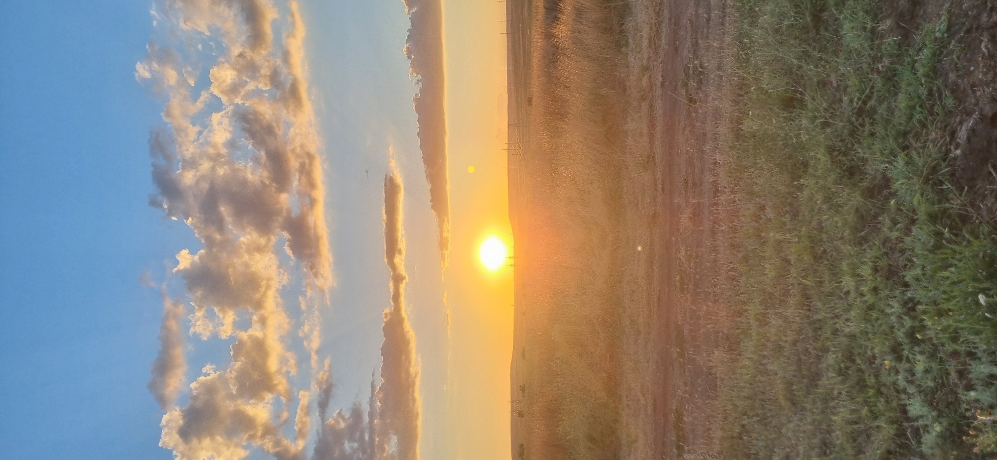 The image depicts a sunset over a rural landscape, likely in the vicinity of Blizhnee, Ukraine, given the context. The sky is a gradient of blue at the top, transitioning to a bright orange and yellow near the horizon. Several scattered clouds are illuminated by the setting sun, appearing in shades of orange, pink, and white.
The foreground is a dirt path or road, with dry grass and some green vegetation growing on either side. The middle ground is a field of tall, dry grass that is bathed in the warm, golden light of the sunset. In the distance, silhouetted against the horizon, are several utility poles and possibly some low-lying structures. The overall impression is one of a tranquil, open, and undeveloped area under a dramatic sky. No people or animals are visible in the image. The time of day is clearly sunset due to the low position of the sun and the warm, diffused light. The environment appears to be natural, with the cultivated or maintained area limited to the path and the surrounding fields.