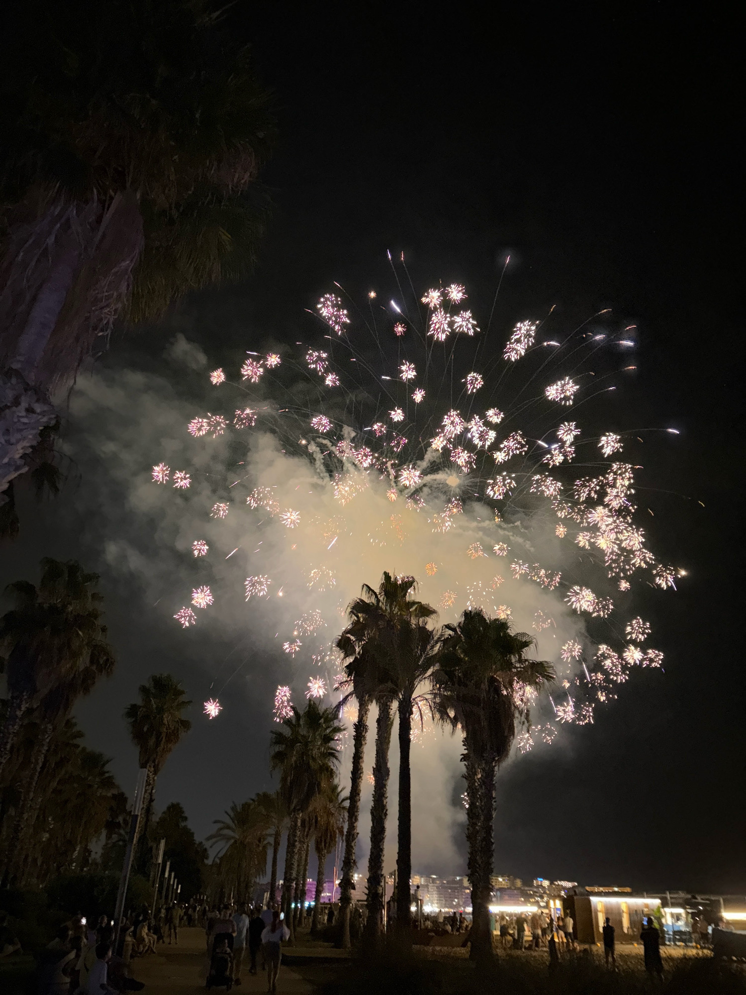 The image depicts a nighttime scene of a fireworks display over the city of Salou, Spain, with palm trees in the foreground. Numerous fireworks are exploding in the sky, creating bursts of pink and white light. Smoke from the fireworks drifts through the scene, obscuring some of the sky and obscuring some of the palm trees. In the foreground, a line of palm trees stands silhouetted against the sky. A group of people are visible in the lower portion of the image, gathered on a pathway or beach, watching the fireworks. Buildings and lights of the city are visible in the background, behind the palm trees and crowd. The overall atmosphere is festive and celebratory.