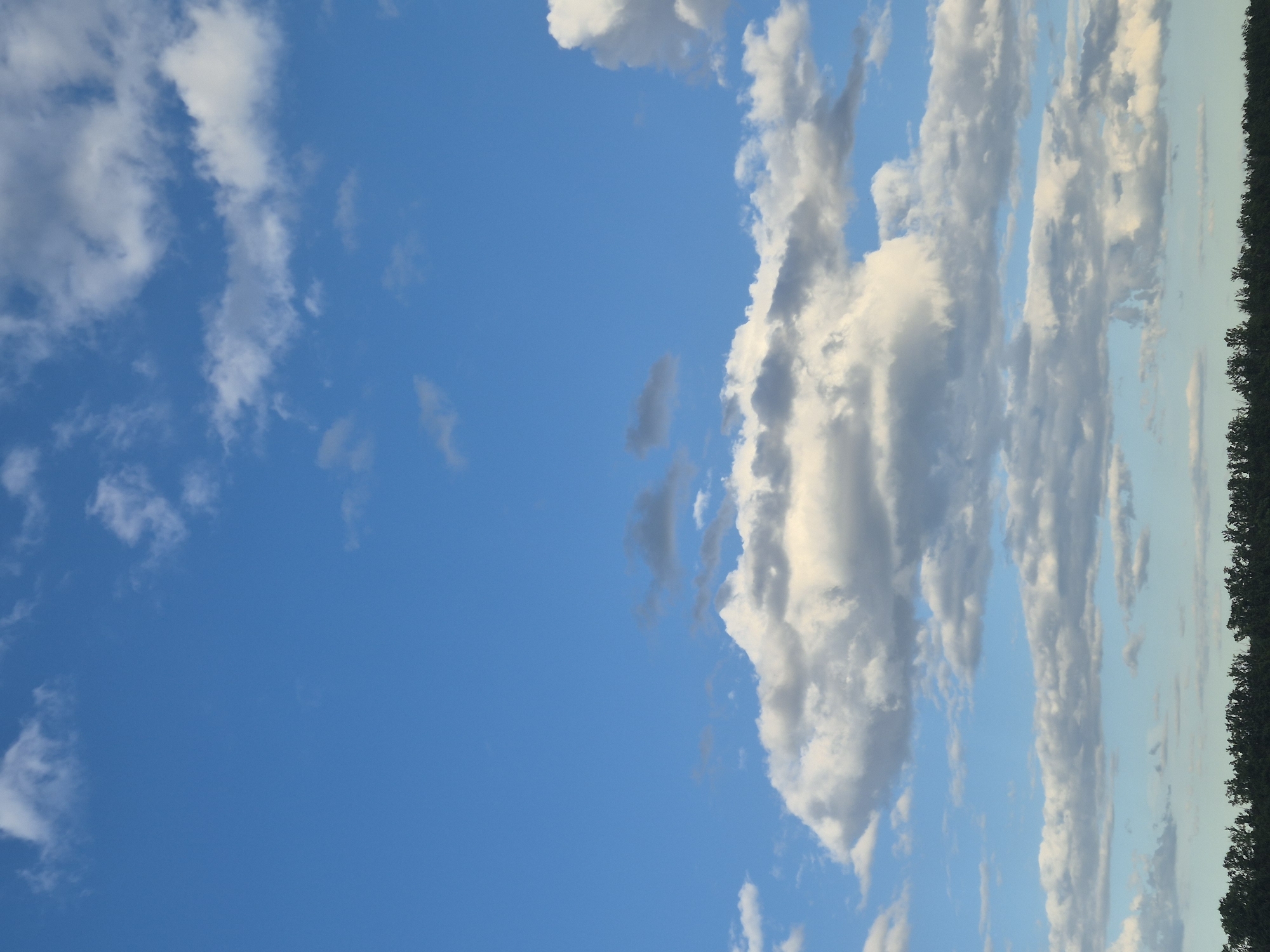 A wide-angle, vertically oriented, eye-level shot captures a bright blue sky filled with fluffy white and gray clouds. The clouds are scattered across the upper two-thirds of the frame, with larger, more defined formations near the center and smaller wisps towards the top and bottom. The bottom third of the image is dominated by a dark green, dense line of trees, suggesting a forest or treeline. The scene is devoid of any people, animals, or structures, presenting a natural landscape. The lighting indicates it is daytime, with the sun likely overhead or slightly to the side, illuminating the clouds and the treetops. The location is identified as Sozonivka, Ukraine.