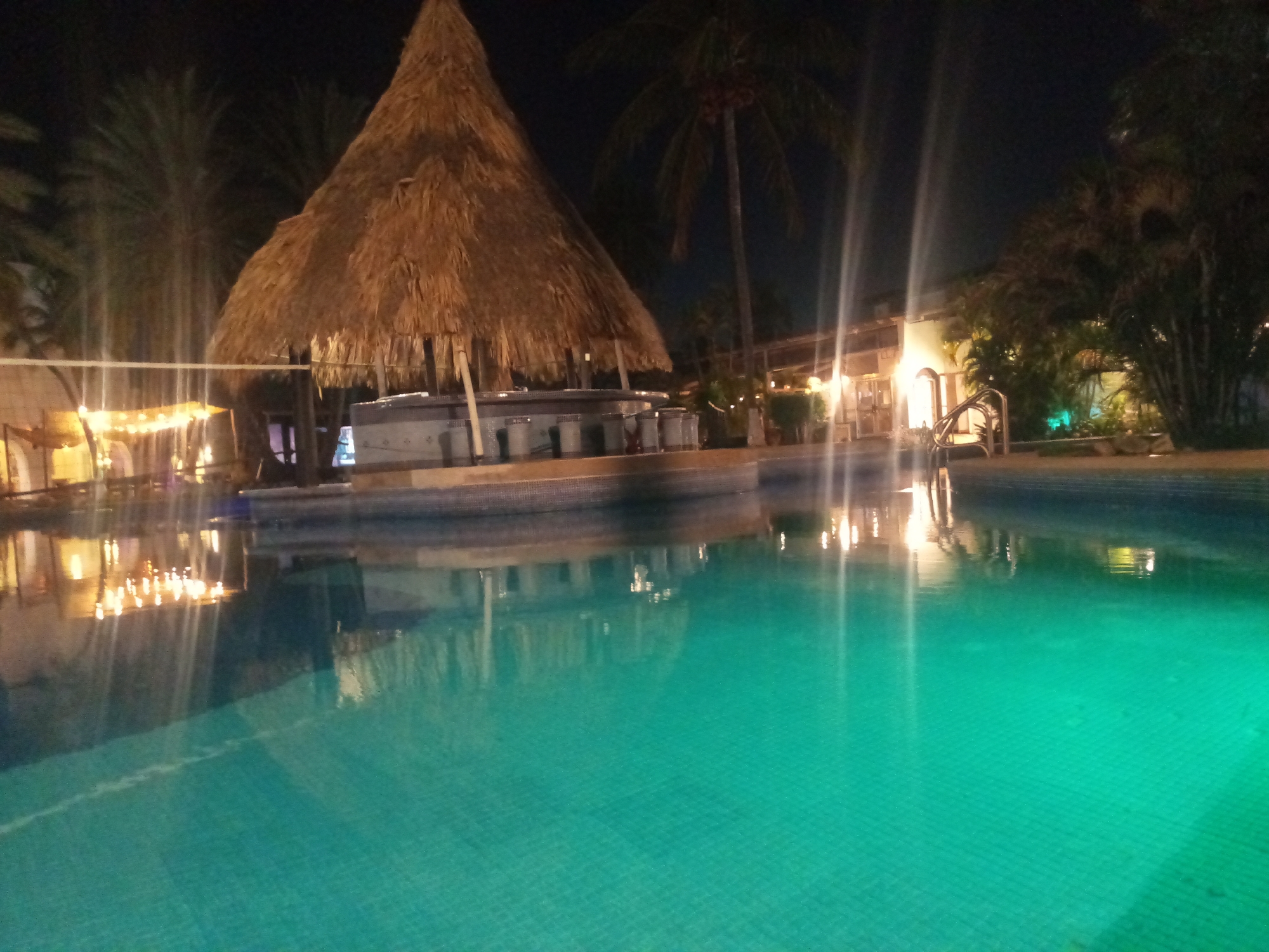 The image shows a swimming pool at night. A thatched-roof bar sits in the middle of the pool. Palm trees surround the pool area. The building is lit by dim lights, and the pool is illuminated with a green light. The image appears to be taken at night, and there are no visible people in the scene. The pool is located in Porlamar, Venezuela.