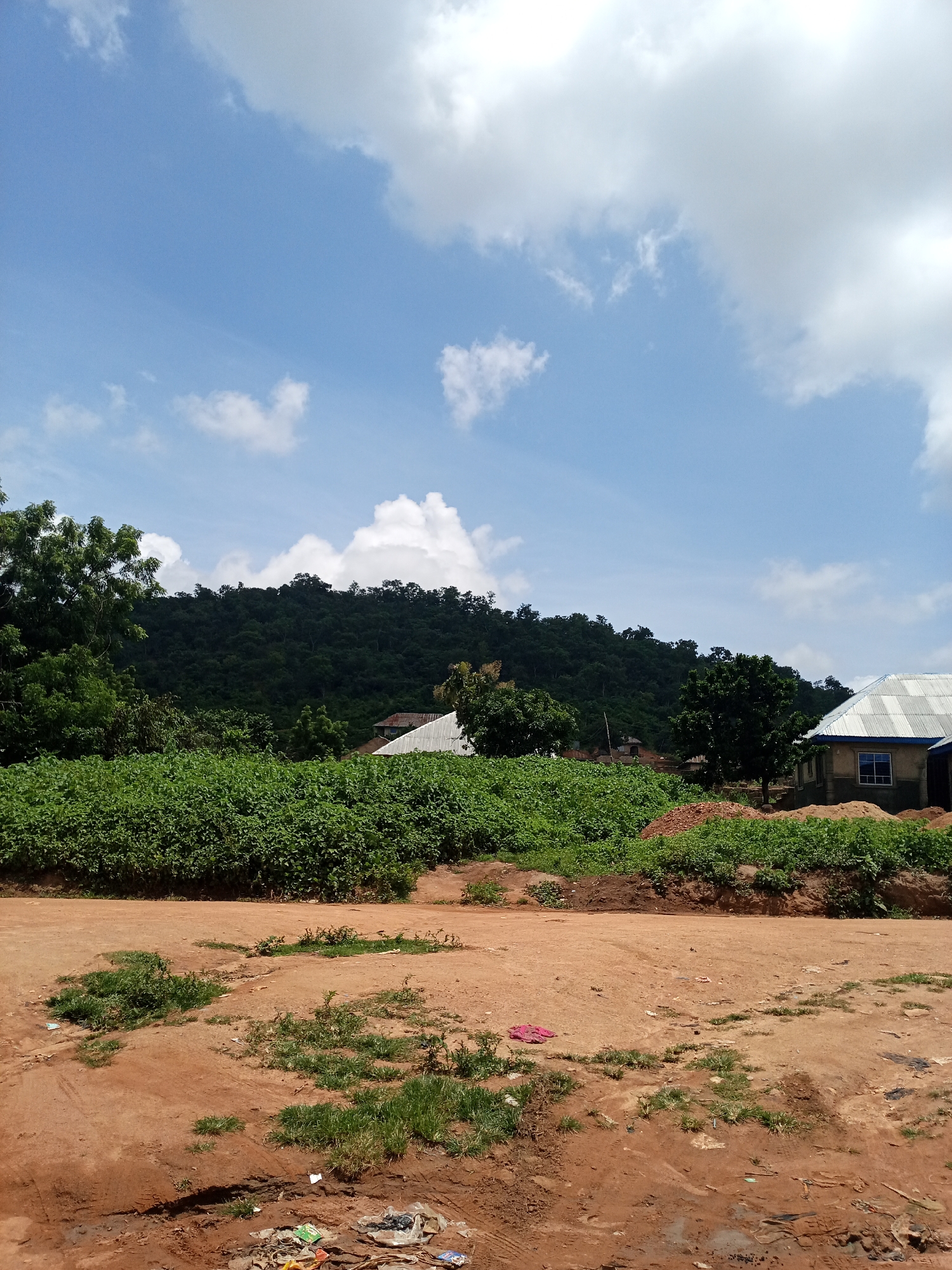 This is a photograph of a rural landscape in the city of Iseyin, Nigeria. In the foreground, there is a dirt road with patches of grass and some scattered litter. In the midground, there is a dense field of green vegetation, likely crops. Behind the vegetation, there are two buildings with corrugated metal roofs, one appearing to be under construction. Further in the background, a large, densely wooded hill rises, its slopes covered in trees. The sky above is blue with scattered white clouds. The scene depicts a typical semi-arid rural environment with evidence of agriculture and residential development.