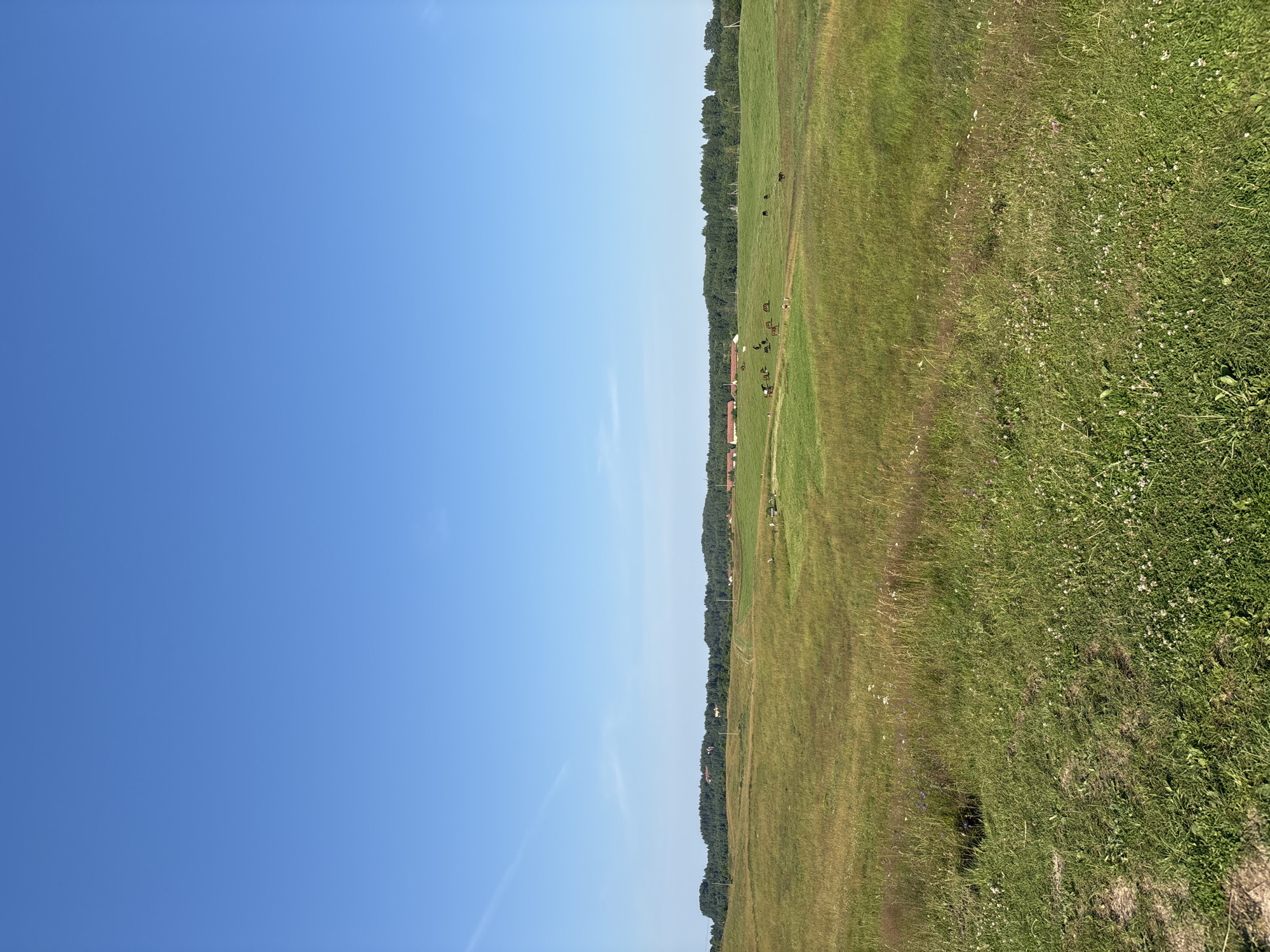 In Suoranda, Russia, on a clear, bright day with a vast expanse of blue sky, a pastoral landscape unfolds. Rolling green fields, interspersed with patches of dried grass and wildflowers, stretch towards a distant treeline. Several rustic farm buildings with red roofs are visible nestled amongst the trees on the horizon. A herd of horses grazes peacefully in the mid-ground, scattered across the expansive meadow. The scene is serene and idyllic, conveying a sense of rural tranquility under the summer sun.