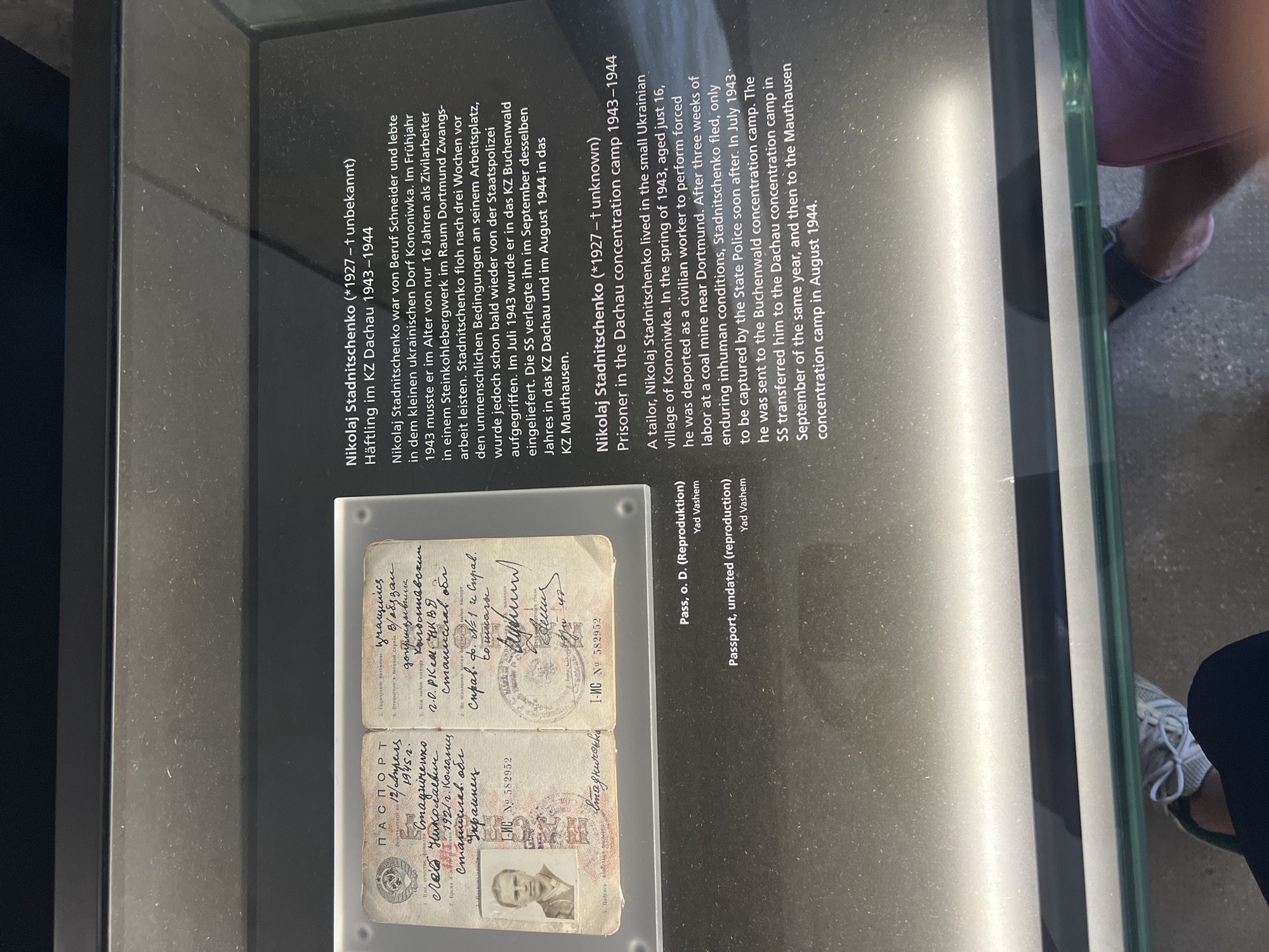 The image shows a display case with historical documents and text panels. In the foreground, a glass-covered display contains an open passport with a photograph of a young man. The passport is partially obscured by reflections. Behind the passport, a text panel in German and English provides biographical information about Nikolaj Stadnitschenko, a prisoner in the Dachau concentration camp from 1943-1944. The text describes his life in a Ukrainian village, his deportation as a forced laborer, his escape and recapture, and his transfer to Dachau and then Mauthausen concentration camps. The text panels and display case are situated within what appears to be a museum or exhibition space. The background is dark and blurred, with some lighting fixtures visible. The scene suggests a historical exhibit focused on the Holocaust or World War II.