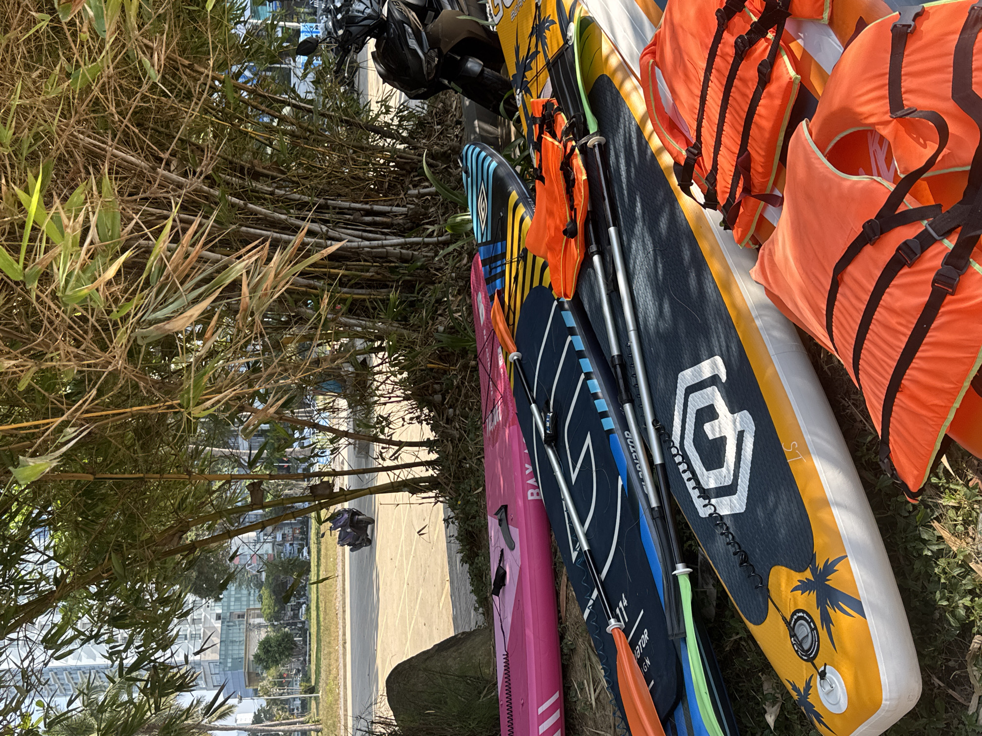 Here is a description of the image:
The image shows a collection of objects arranged along the edge of a grassy area, with bamboo stalks and foliage in the foreground. A partially visible paved area and cityscape are in the background, suggesting an urban or suburban setting.
The objects present include several paddleboards, stacked or leaning against each other. They are of different colors and designs, including pink, blue, and yellow with palm tree graphics. Paddles are placed alongside the boards. In addition, there are several orange life vests, stacked on top of one of the paddleboards.
The lighting appears to be daylight, with some shadows. The arrangement of objects seems somewhat haphazard, suggesting they are temporarily stored or staged at this location.