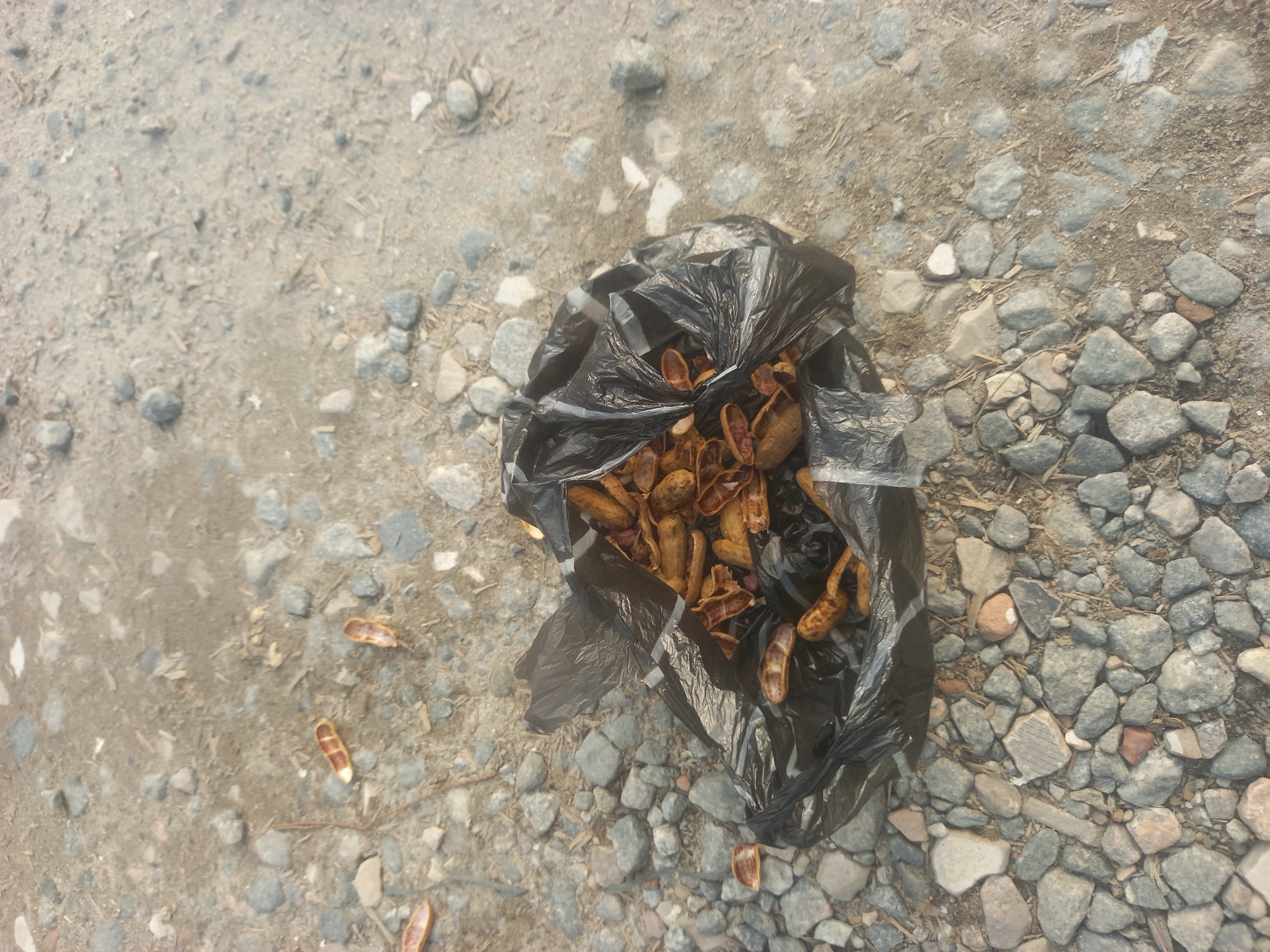 A black plastic bag filled with tamarind pods lies on a gravelly surface. Scattered around the bag are several discarded tamarind pods. The environment appears to be an outdoor area, possibly a street or roadside in Ilado, Nigeria. The lighting suggests it is daytime. There are no people or animals visible in the image.