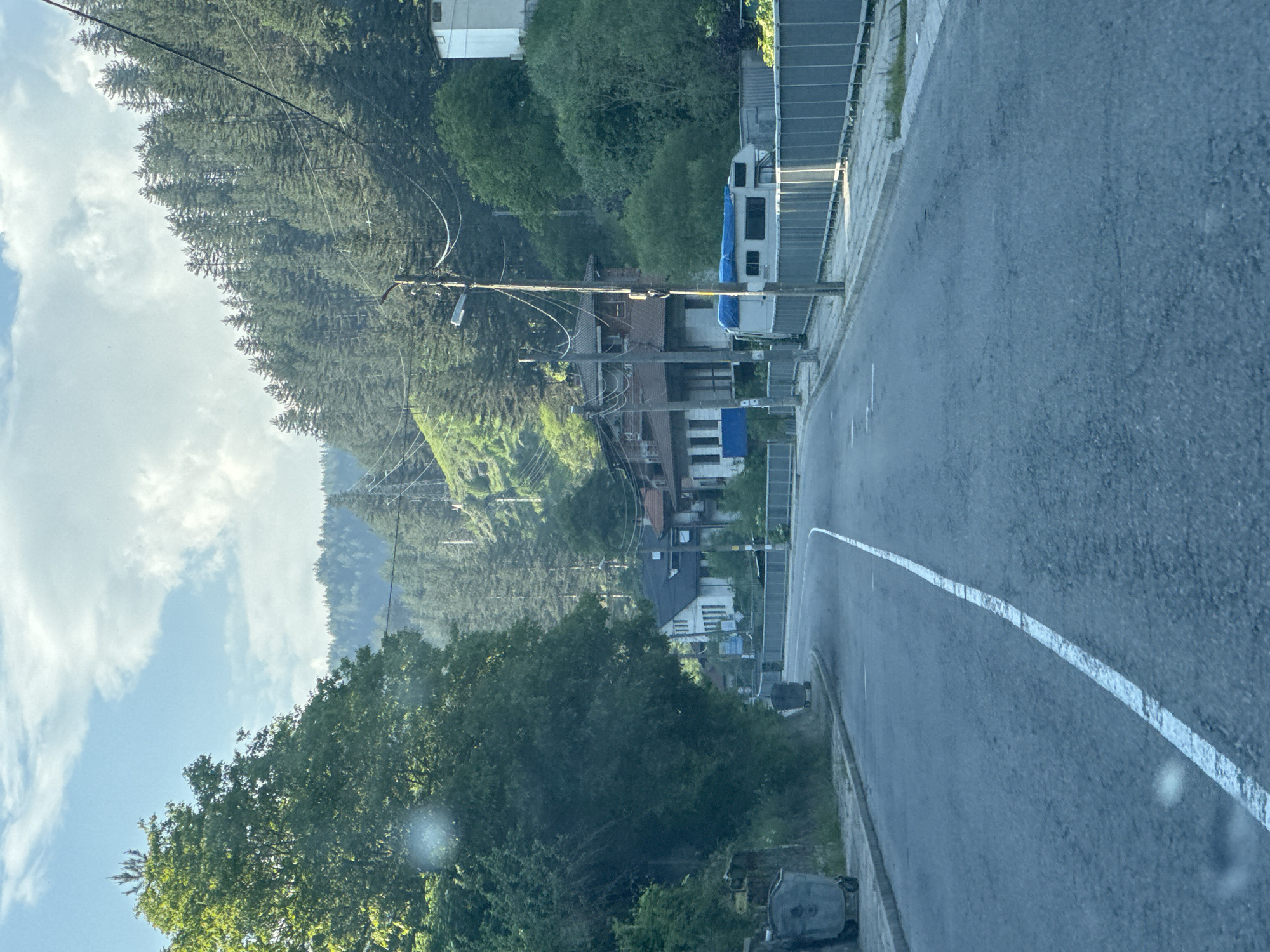 This image presents a detailed view of a road in Sokolovtsi, Bulgaria. The scene is dominated by a paved asphalt road, which curves gently to the left in the foreground and extends into the midground. A solid white line marks the center of the road in the foreground.

On the left side of the road, a concrete curb separates the asphalt from a narrow unpaved strip where two large, wheeled grey waste bins are located. Immediately behind these bins, a dense mass of green deciduous trees and shrubs fills the left side of the frame, obscuring much of the immediate background. Through and above this foliage, the white facade and dark, sloped roof of a multi-story building are partially visible. Beyond this, the terrain rises steeply, covered in a dense coniferous forest that extends up a hillside.

On the right side of the road, a concrete curb borders a sidewalk, which is protected by a dark grey metal fence or guardrail running parallel to the road. Behind this fence, a white camper van or recreational vehicle (RV) is parked, its roof partially covered by a blue tarp. Further along the right, a wooden utility pole with a street lamp and multiple power lines stands prominently. Several residential structures are visible on the rising incline beyond the fence, including a house with a red-tiled roof and light-colored walls, and a taller, simpler white building positioned higher up the slope. A very dense, dark green coniferous forest covers the steep hillside on the right, extending from the midground to the distant background. Numerous utility wires are visible traversing the scene, connected to poles and buildings.

The background features additional forested hills under a sky that is partly cloudy, with patches of bright blue visible between scattered white clouds. The lighting indicates daytime conditions with diffused sunlight. No people or active events are depicted within the scene.