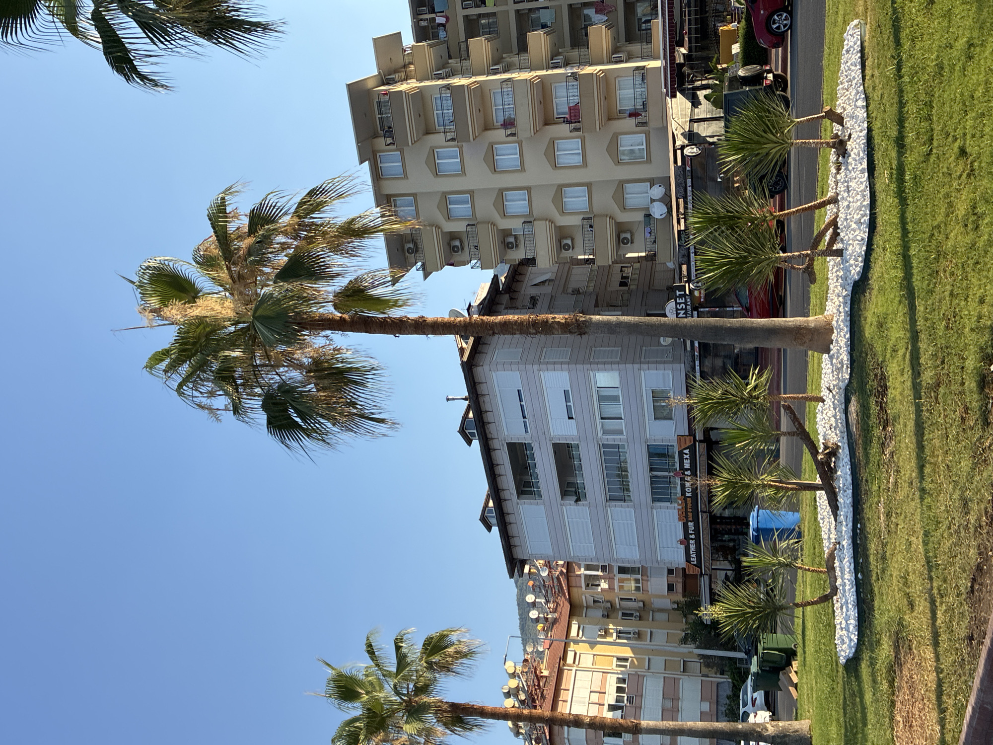 A wide, sunlit, eye-level outdoor shot features a streetscape in Alanya, Turkey, with a clear blue sky overhead. In the foreground, a manicured lawn is bordered by a red brick curb. A patch of white gravel decorates the lawn, dotted with several small, spiky plants and a gnarled tree trunk. Behind this is a paved street.
Several buildings dominate the mid-ground. On the left, a tall palm tree with a brown trunk and green fronds stands prominently. Adjacent to it, buildings in light yellow and pink hues feature multiple windows and air conditioning units. Further to the right, a taller, pale grey building with a modern design has multiple balconies with dark railings and windows with white shutters. Another building, cream-colored, with numerous balconies and windows, is situated to the right of the grey building. The buildings are adorned with balconies, satellite dishes, and air conditioning units. Laundry hangs from some balconies.
Several businesses are visible on the ground floor of the buildings, including one with a sign reading "BELLA" and another with text that appears to include "LEATHER & FUR" and "STUDIOS." A blue trash bin and several green bins are also visible on the sidewalk.
Vehicles are present on the street. A white car is parked on the left, and a red car is visible further down the street on the right. A dark-colored vehicle, possibly an SUV, is also parked on the street.
The overall scene suggests a sunny day in a coastal city, likely in a tourist-oriented area, given the businesses and apartment buildings. The presence of palm trees and the architectural style are characteristic of Mediterranean coastal regions.