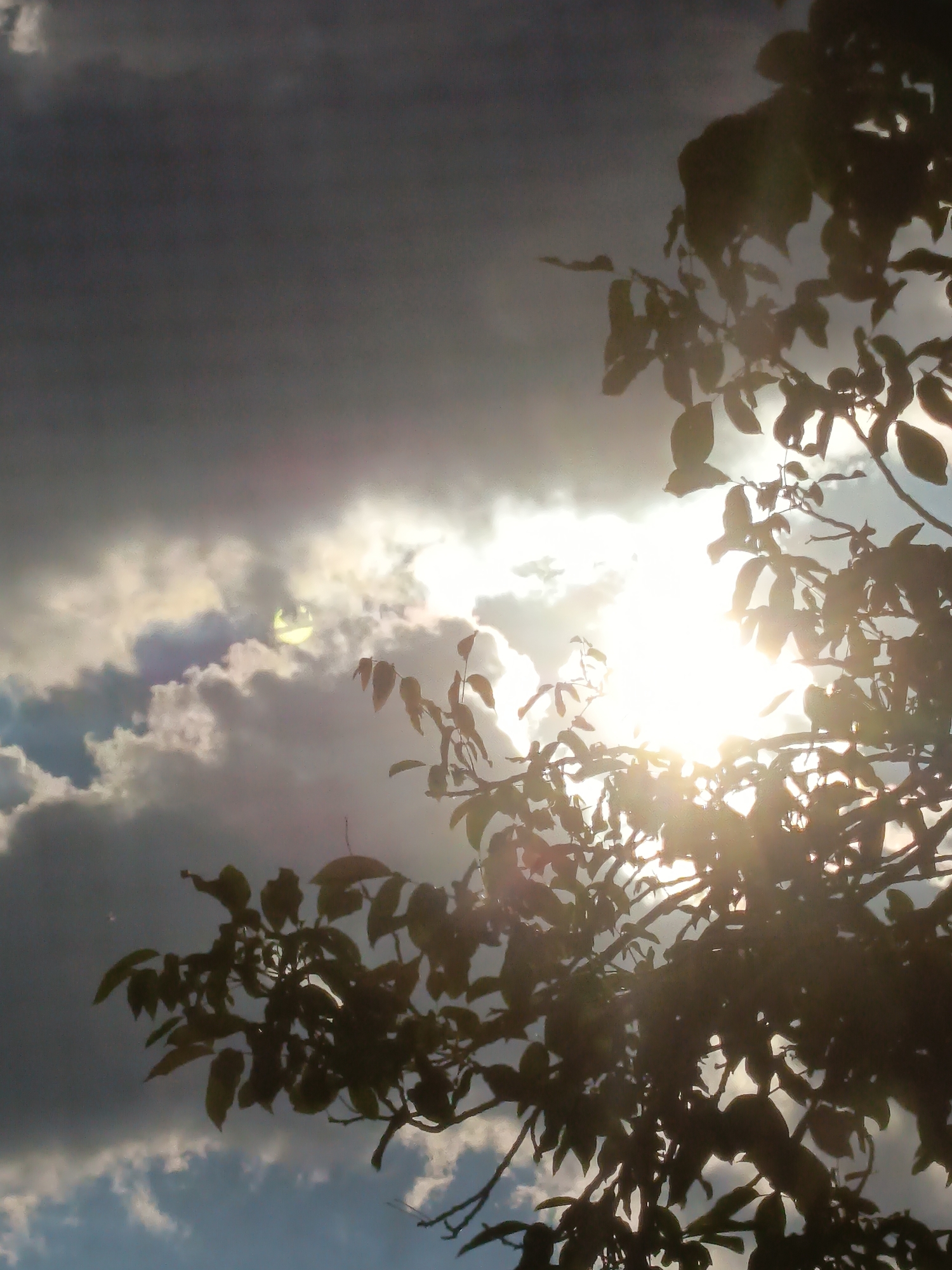 The image is a low-angle shot of a tree's branches and leaves silhouetted against a cloudy sky with the sun breaking through. The sun is brightly lit, causing lens flare and making some parts of the image overexposed. The clouds appear dark and heavy in some areas, suggesting impending rain or a storm, while other areas are illuminated by the sun. The tree's foliage is dark and indistinct due to the backlighting. There are no people or man-made structures visible in the frame. The scene is likely outdoors, possibly in a park or residential area within the city of Izmail, Ukraine, given the context provided.