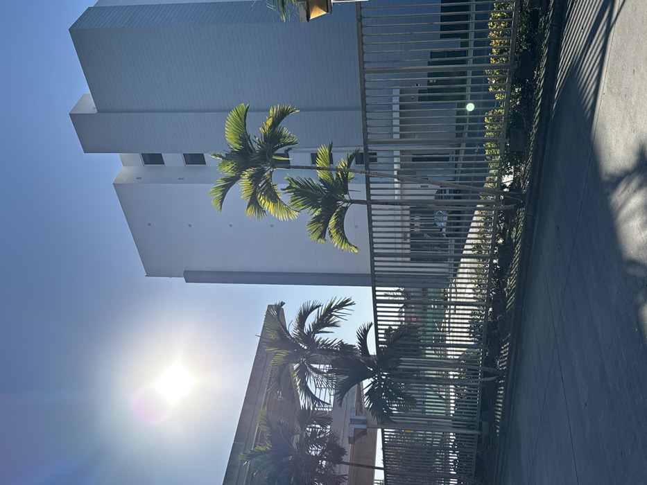 The image displays an outdoor scene rotated 90 degrees clockwise, capturing a bright, sunny day. The primary subjects are a modern, multi-story white building, several palm trees, and a long metal fence bordering a paved surface.
The white building, featuring a clean, minimalist design with several visible windows, occupies the upper half of the image (when viewed upright). Its facade is stark white, reflecting the bright sunlight. In front of the building, a row of slender palm trees with vibrant green fronds stands out, their leaves partially backlit by the sun, creating a luminous effect.
A long, gray metal fence runs horizontally across the middle of the frame, acting as a clear divider between the building and the paved area in the foreground (when viewed upright). Beyond the fence, the paved surface, likely a road or sidewalk, shows distinct, elongated shadows cast by the fence and trees, indicative of direct sunlight.
The bright sun is a prominent feature, positioned towards the lower left of the upright image, causing a significant lens flare and strong illumination across the scene. The sky is clear and blue, suggesting good weather conditions. No specific activity or people are visible. There is no discernible text in the image. The architectural style, palm trees, and bright sun are consistent with the location context of Hialeah, United States of America.