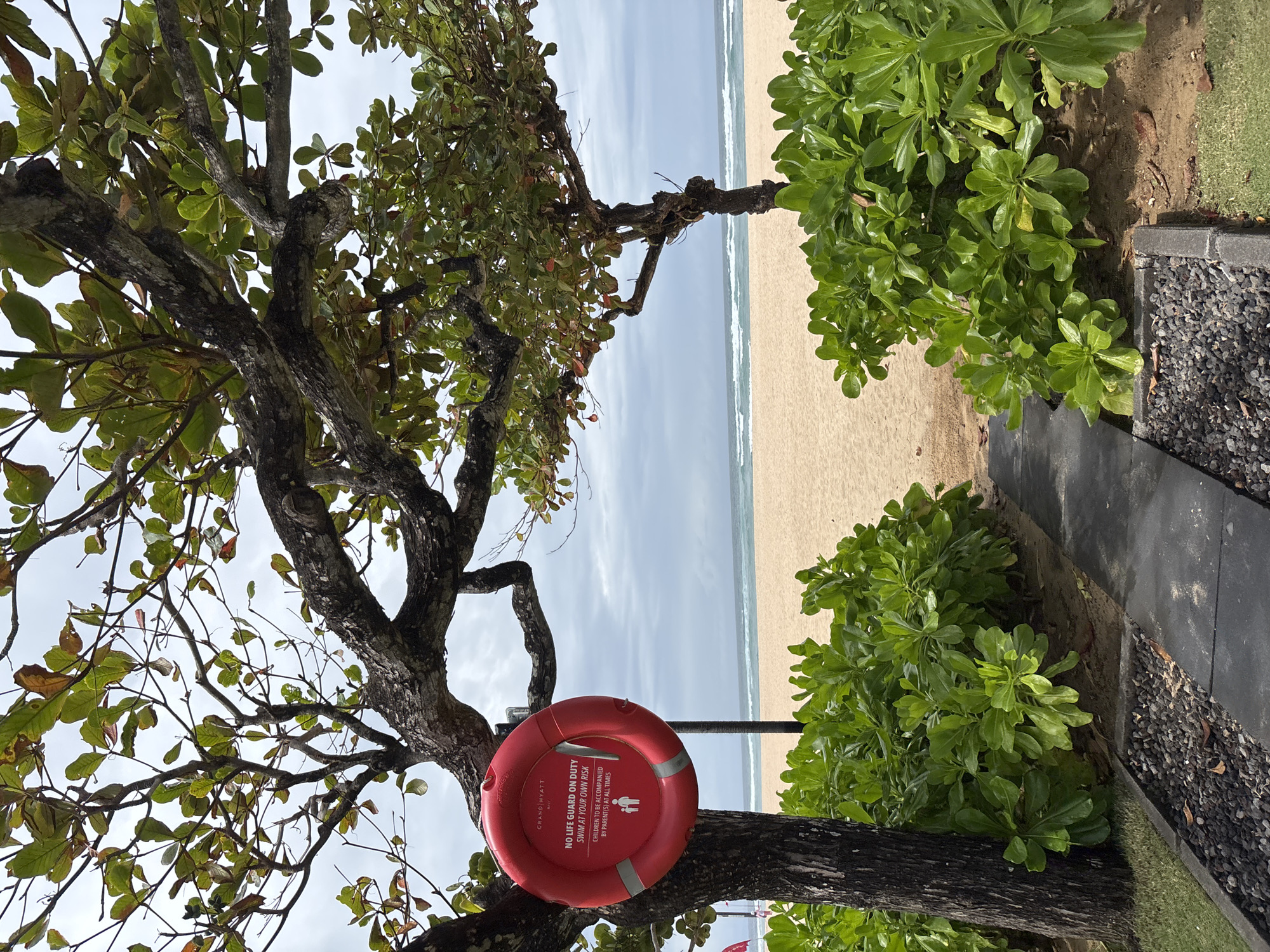An overcast day at a sandy beach in Kuta Selatan, Indonesia. In the foreground, a pathway of dark grey tiles and black pebbles leads towards the beach. Lush green bushes flank the pathway. To the left, a tree trunk supports a bright red life preserver with text indicating "GRAND HYATT BALI NO LIFE GUARD ON DUTY SWIM AT YOUR OWN RISK CHILDREN TO BE ACCOMPANIED BY PARENT(S) AT ALL TIMES". The life preserver also features an icon of an adult and a child. Beyond the bushes and the pathway, a wide expanse of golden sand stretches to meet the ocean, where moderate waves are breaking under a cloudy sky. The overall scene depicts a resort beach area with safety information posted.