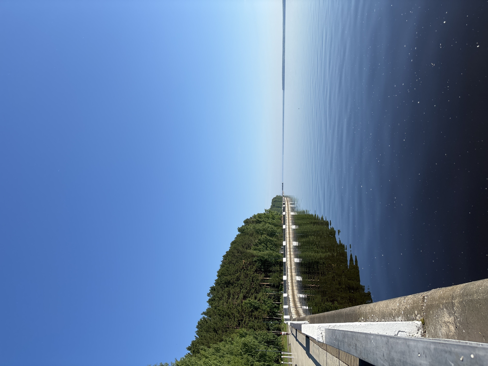 The image captures a serene waterfront scene in the city of Chaikovsky, Russia. A paved promenade with a white railing lines the edge of a calm, dark blue body of water. To the left, a dense forest of green trees, primarily pines, stretches along the curve of the promenade. The trees are reflected in the still water, creating a mirror image. The sky above is a clear, bright blue. In the distance, the horizon is a faint line where the water meets the sky. A single person, possibly a woman with a red backpack, is walking along the promenade in the distance. The scene is peaceful and bathed in natural light, suggesting it is a sunny day.