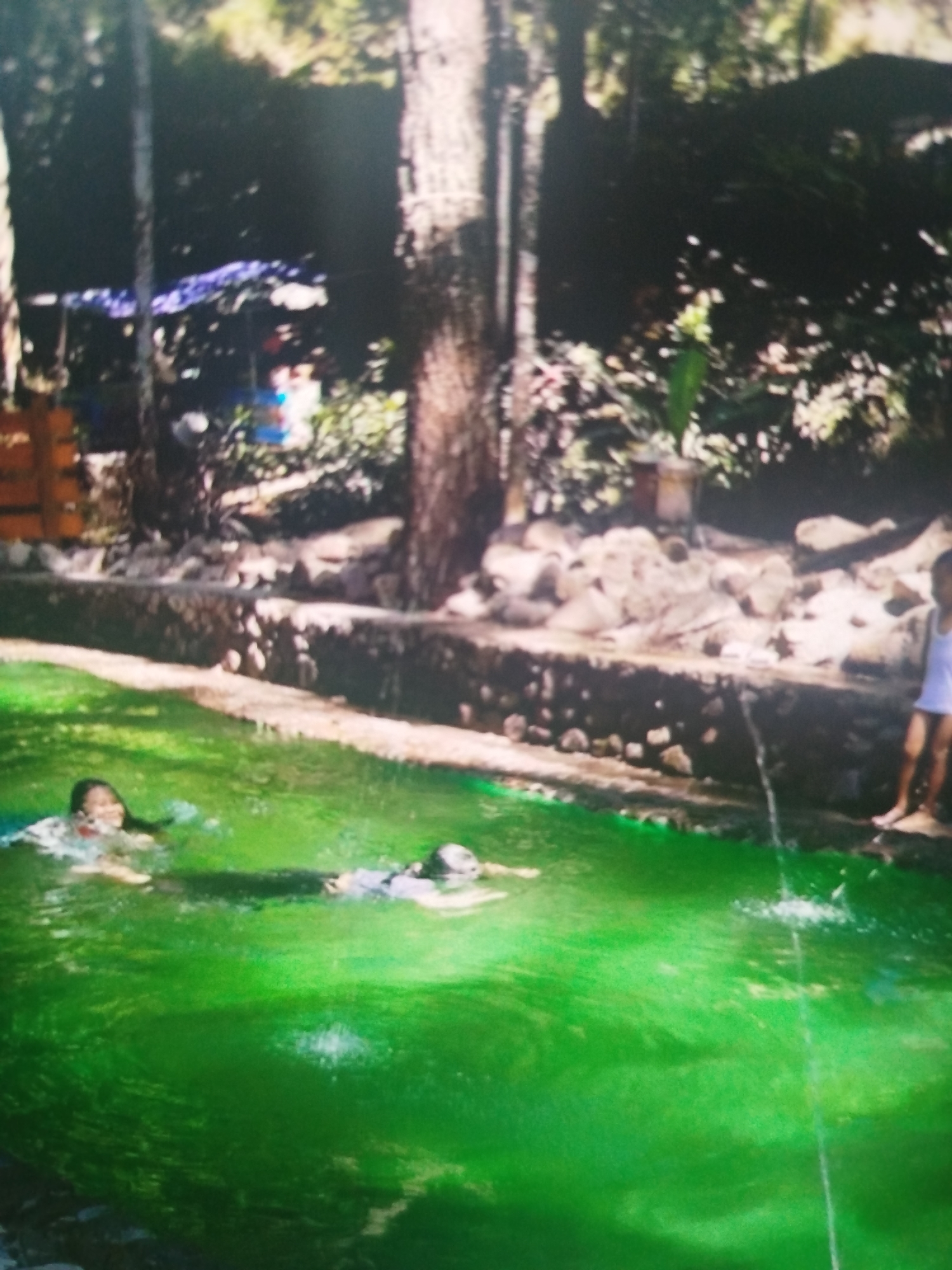 In a vibrant, green-hued pool, two individuals are engaged in swimming and playing. On the left, a person with dark hair, wearing what appears to be a red swimsuit, is smiling and partially submerged in the water. To their right and slightly further back, another individual is lying on their back in the water. The pool is bordered by a stone retaining wall, which is constructed from various sizes of rocks and rubble. Behind the wall, the environment transitions to a natural setting with trees and foliage. The ground around the pool appears to be a mix of dirt and rocks. Further back, there is a glimpse of a shaded area with what could be a canopy or roof structure, suggesting an outdoor recreational space. The lighting conditions suggest it is daytime, with sunlight filtering through the trees, creating dappled light and shadows. The location is identified as Bandungrejo, Indonesia.