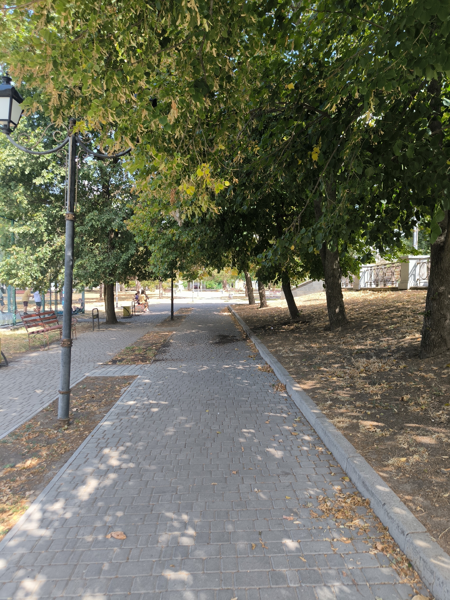 The image depicts a paved pathway in a park-like setting, likely in Mykolaiv, Ukraine, judging by the context provided. The pathway is constructed of grey interlocking pavers and is lined with trees on both sides. Some of the trees have abundant green foliage, while others show signs of changing seasons with yellowing leaves and fallen leaves scattered on the ground.
On the left side of the pathway, there is a black lamppost with a decorative scrolled iron base. Further down the path, a red park bench is visible. In the background on the left, there is a fence, possibly enclosing a sports court, with several people visible in casual attire.
The right side of the pathway is bordered by a grassy slope covered in dry leaves. Several tree trunks are prominent on this side, with sunlight dappling through the leaves, casting shadows on the pathway. In the far background on the right, there appears to be a stone wall or embankment with decorative railings. The overall atmosphere suggests a public outdoor space on a clear, sunny day.
