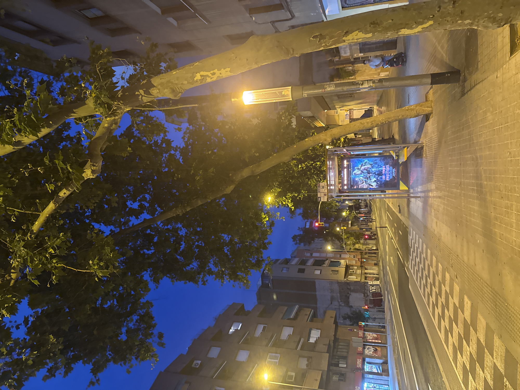 The image shows a street scene in Barcelona, Spain, at dusk. The sky is a deep blue. On the left, there are apartment buildings with illuminated windows. A street with traffic lights and road markings runs horizontally across the frame. In the foreground, a checkered pedestrian crossing leads to a sidewalk. A bus stop shelter with a large advertisement is visible on the right side of the sidewalk. A street lamp illuminates the sidewalk, casting a warm glow. Trees with green foliage line the sidewalk. In the background, a person is riding a scooter on the sidewalk. The scene appears to be a typical urban environment.