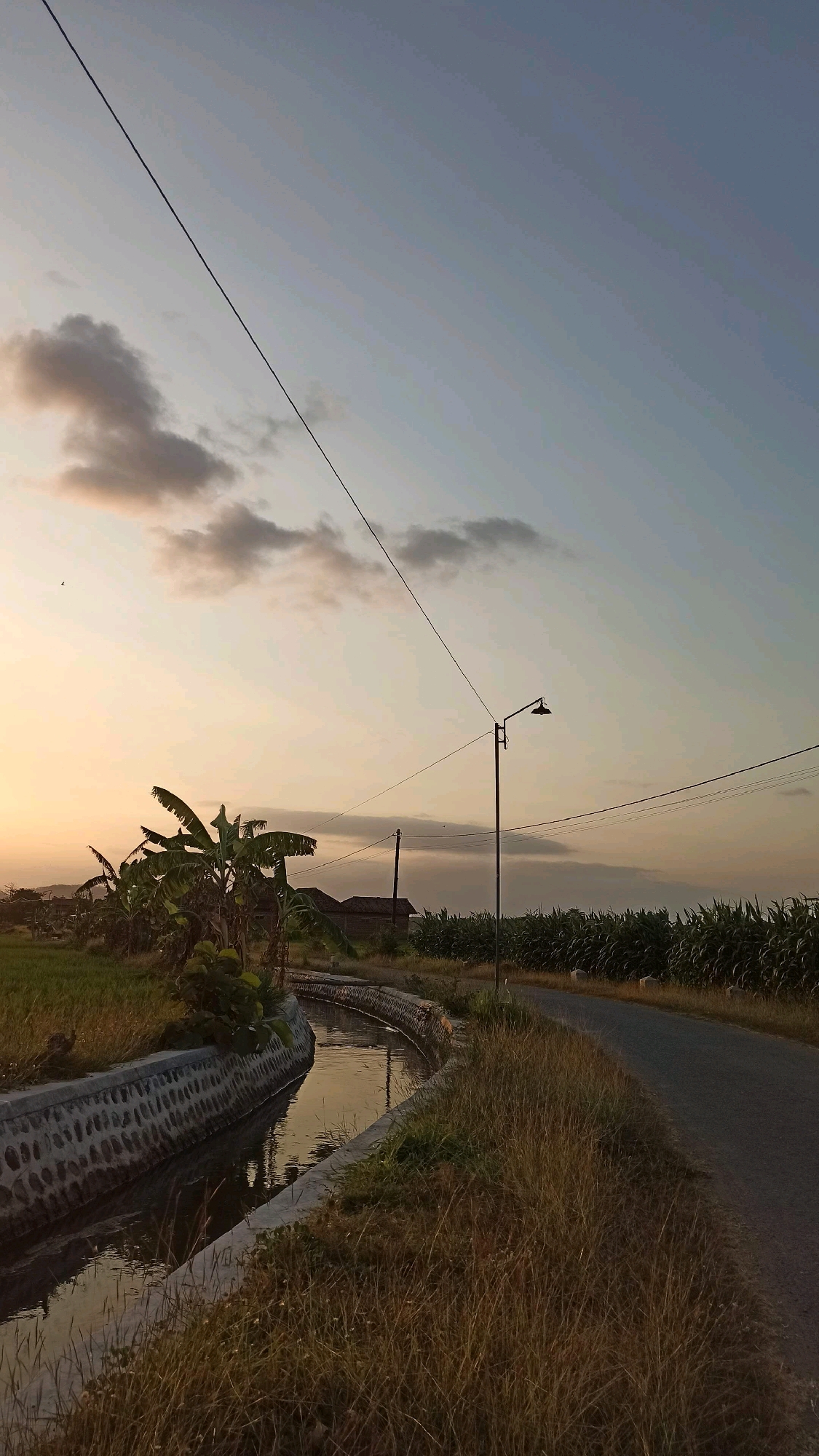 The image depicts a rural landscape at sunset in Josari, Indonesia. A paved road curves to the right, bordered by dry grass on the right and a concrete-lined irrigation canal on the left. The canal reflects the warm hues of the setting sun. Beyond the canal, banana trees and other vegetation are visible, along with a few simple buildings. In the distance, rows of corn plants stretch towards the horizon. The sky is a gradient of pale blue and soft orange, with scattered clouds. Power lines stretch across the sky, and a street lamp stands near the road. There are no people visible in the scene.