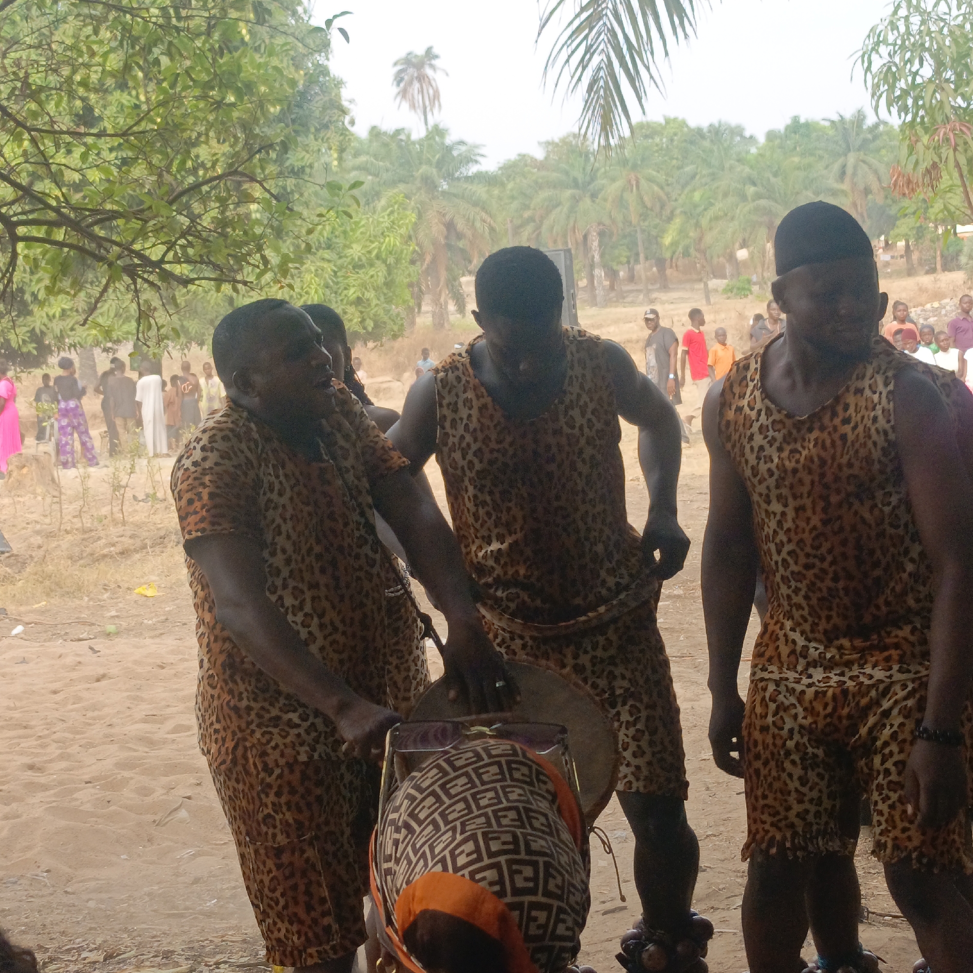 An outdoor scene in Akwanga, Nigeria, depicts three men in the foreground and midground, dressed in sleeveless leopard-print tops and shorts, participating in what appears to be a cultural performance. The man on the left is actively playing a traditional drum with his hands. The central man, also in leopard print and wearing dark ankle rattles, holds the drum with his right hand. The man on the right, partially visible, wears a dark cap, leopard-print attire, and ankle rattles on his left leg. Below the drum, the top of a head wrapped in a patterned fabric (brown and white geometric design with an orange border) is visible, with sunglasses resting on top. The ground is sandy and light brown. In the background, a crowd of diverse individuals in casual attire, some brightly colored, observe the event. The far background features dense tropical vegetation, characterized by numerous palm trees and other green trees under a hazy, overcast sky.