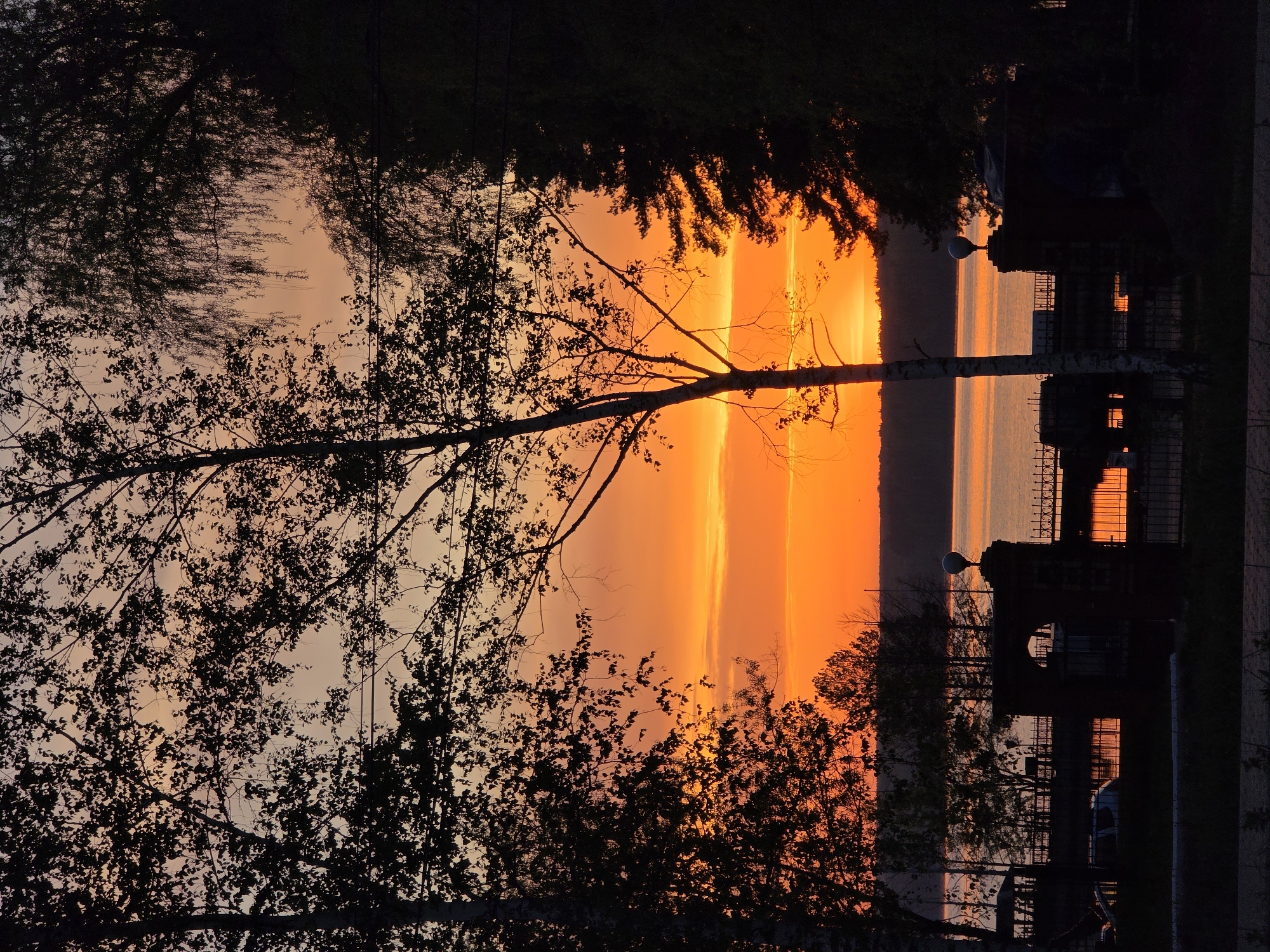 The image shows a sunset in Chaikovsky, Russia, viewed through silhouetted trees. The sunset creates a bright orange and yellow light across the horizon, reflecting in the water. The foreground features dark tree branches and foliage. On the right side of the frame, there's a silhouette of a building. The overall scene suggests a tranquil, natural setting juxtaposed with urban elements.