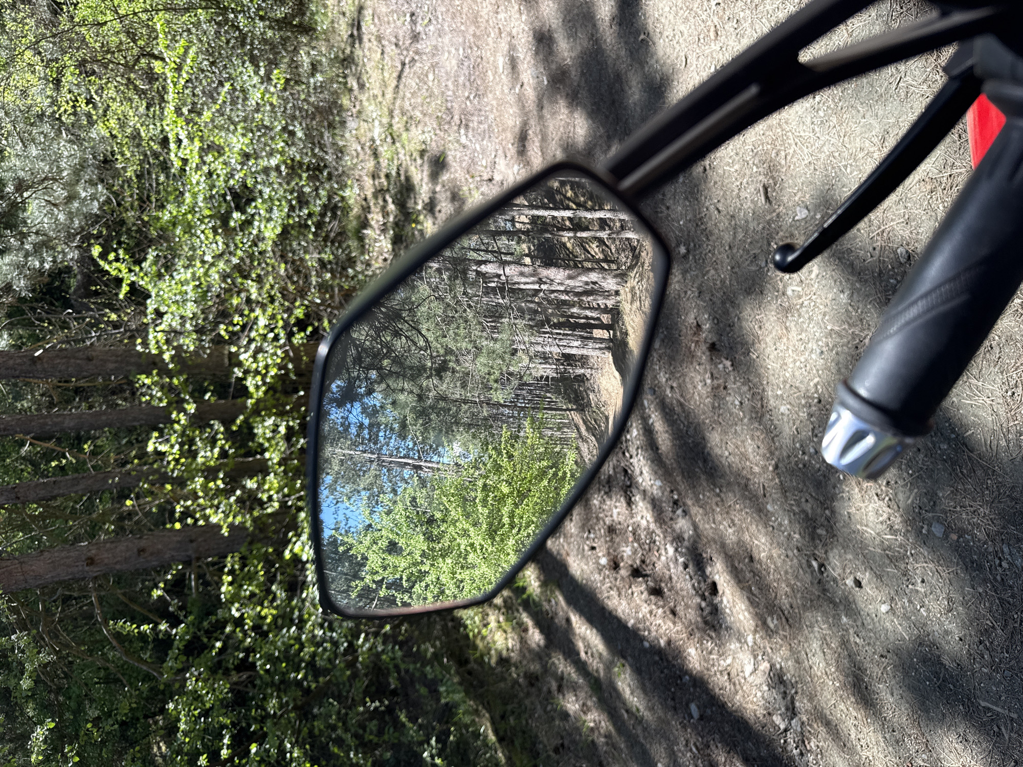 The image shows a motorcycle mirror reflecting a forest path in Boboshevo, Bulgaria. The mirror is mounted on the motorcycle's handlebar, part of which is also visible. The path reflected in the mirror is lined with trees and green vegetation. Outside the mirror, the immediate surroundings include foliage and a dirt or gravel surface with dappled sunlight.