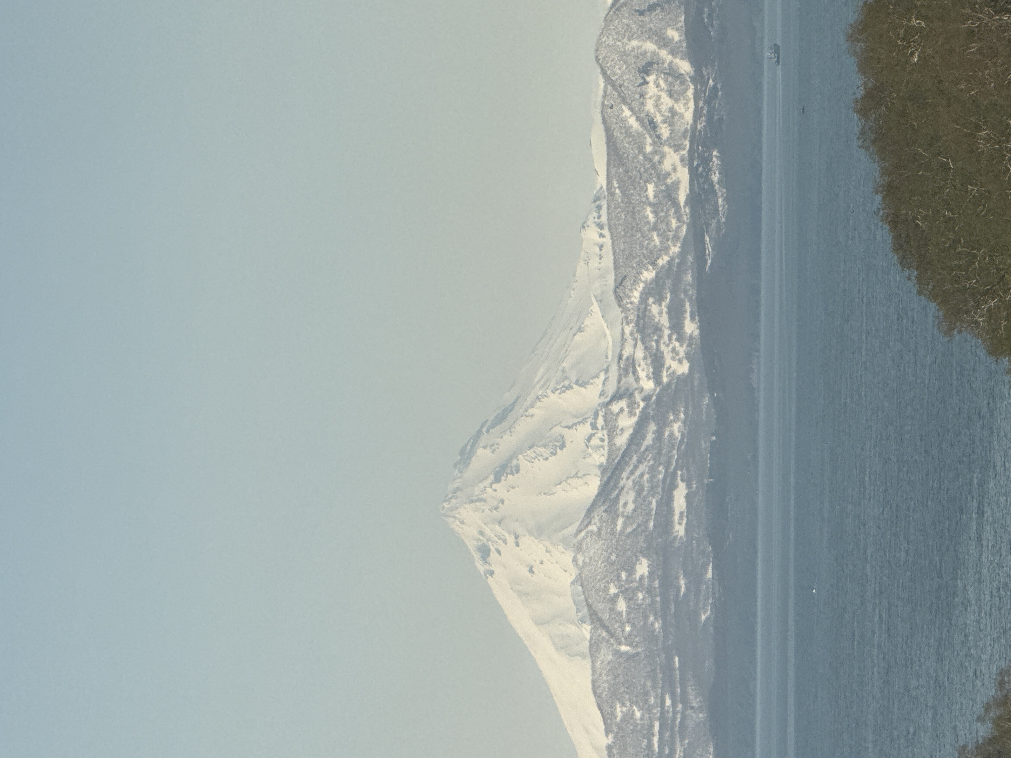 The image displays a panoramic landscape from Petropavlovsk-Kamchatsky, Russia, centered on a dominant, snow-capped volcano. In the immediate bottom right corner, a cluster of bare, brown-grey tree branches occupies a small portion of the frame. Beyond this, a wide, calm body of dark blue-green water stretches across the lower third of the image, consistent with Avacha Bay or the Pacific Ocean. Two vessels are visible on the water: a small, white, indistinct object in the center and a larger, dark-hulled ship with a visible superstructure further right, nearer the distant shore. A range of lower, snow-covered hills, marked with dark patches of exposed rock or vegetation, forms the mid-ground, receding towards the horizon. The central and most prominent feature is a large, sharply conical stratovolcano, identified as Avachinsky Volcano, completely covered in bright white snow from its base to its distinct peak. The upper two-thirds of the image is dominated by a clear, pale blue sky, gradually lightening towards the horizon, devoid of clouds. The scene is illuminated by natural daylight, casting subtle shadows on the mountain's slopes.